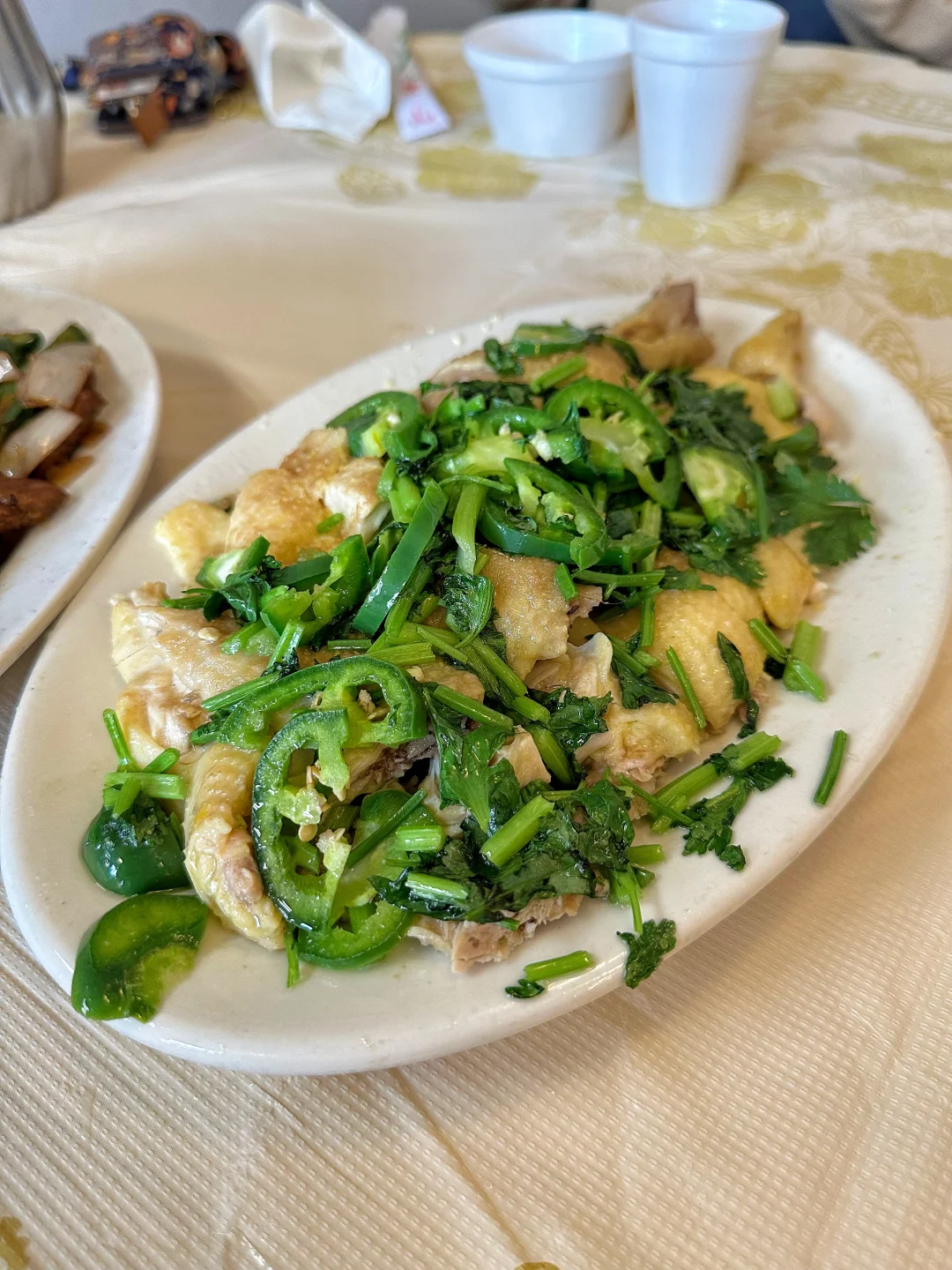 Chicago | Kou Fu Ge (a Chinese restaurant name, meaning "House of Culinary Bliss") 08.18.2024 🇨🇳