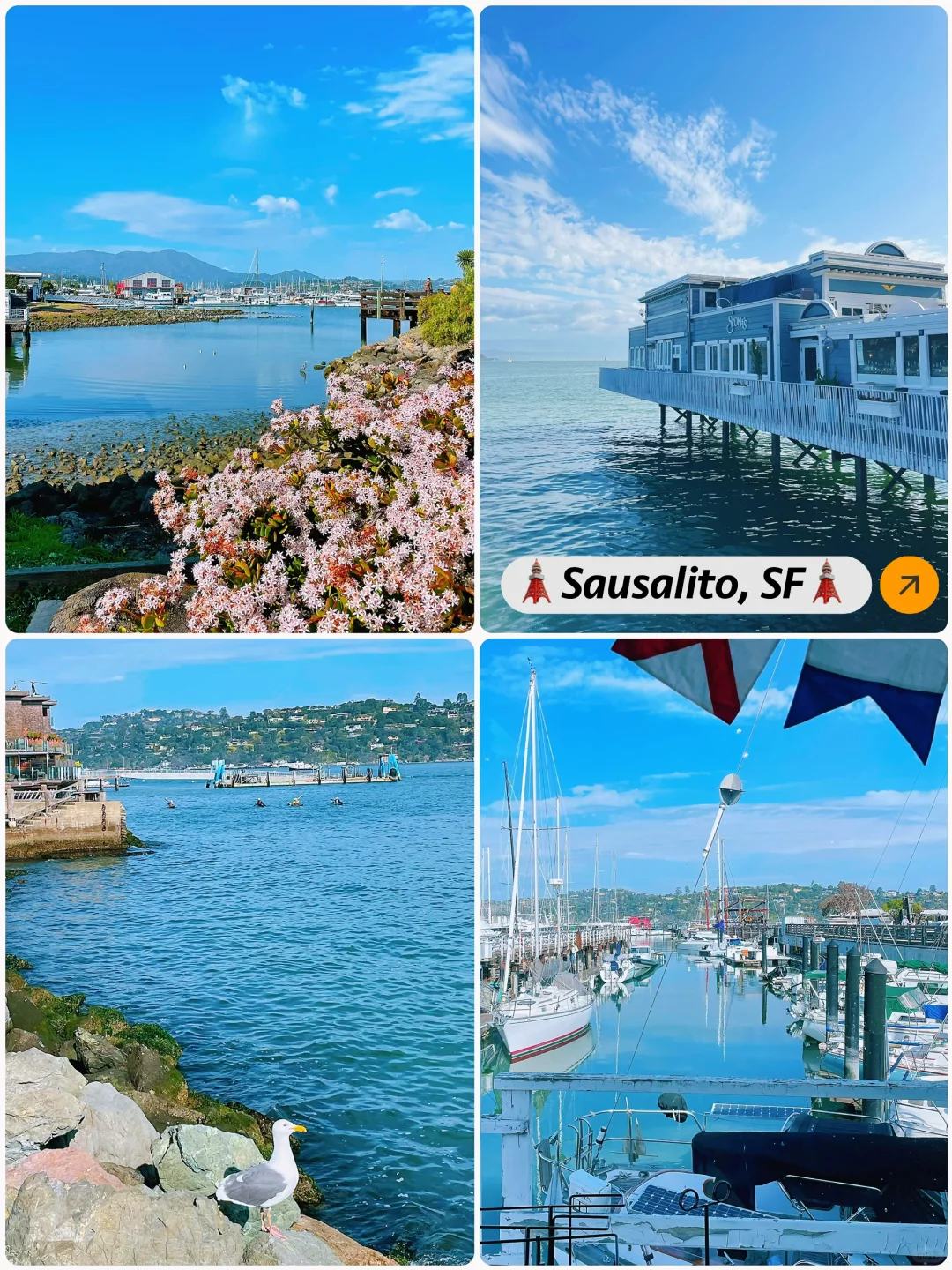 "Sausalito: San Francisco's Backyard Garden, Worth Visiting Even in Winter ❄️"