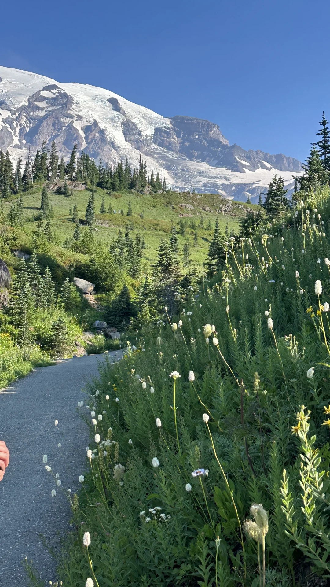 Summer Vibes in Seattle! Paradise Trail Adventures!
