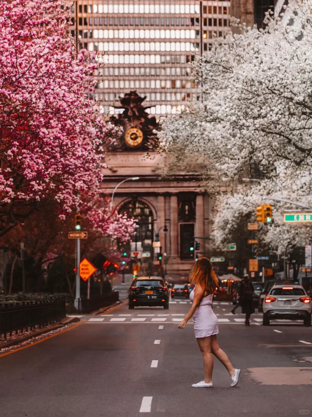 🌸 Best Spots to See Cherry Blossoms in New York | "The world is bustling, but cherry blossoms fade in an instant" 🌸