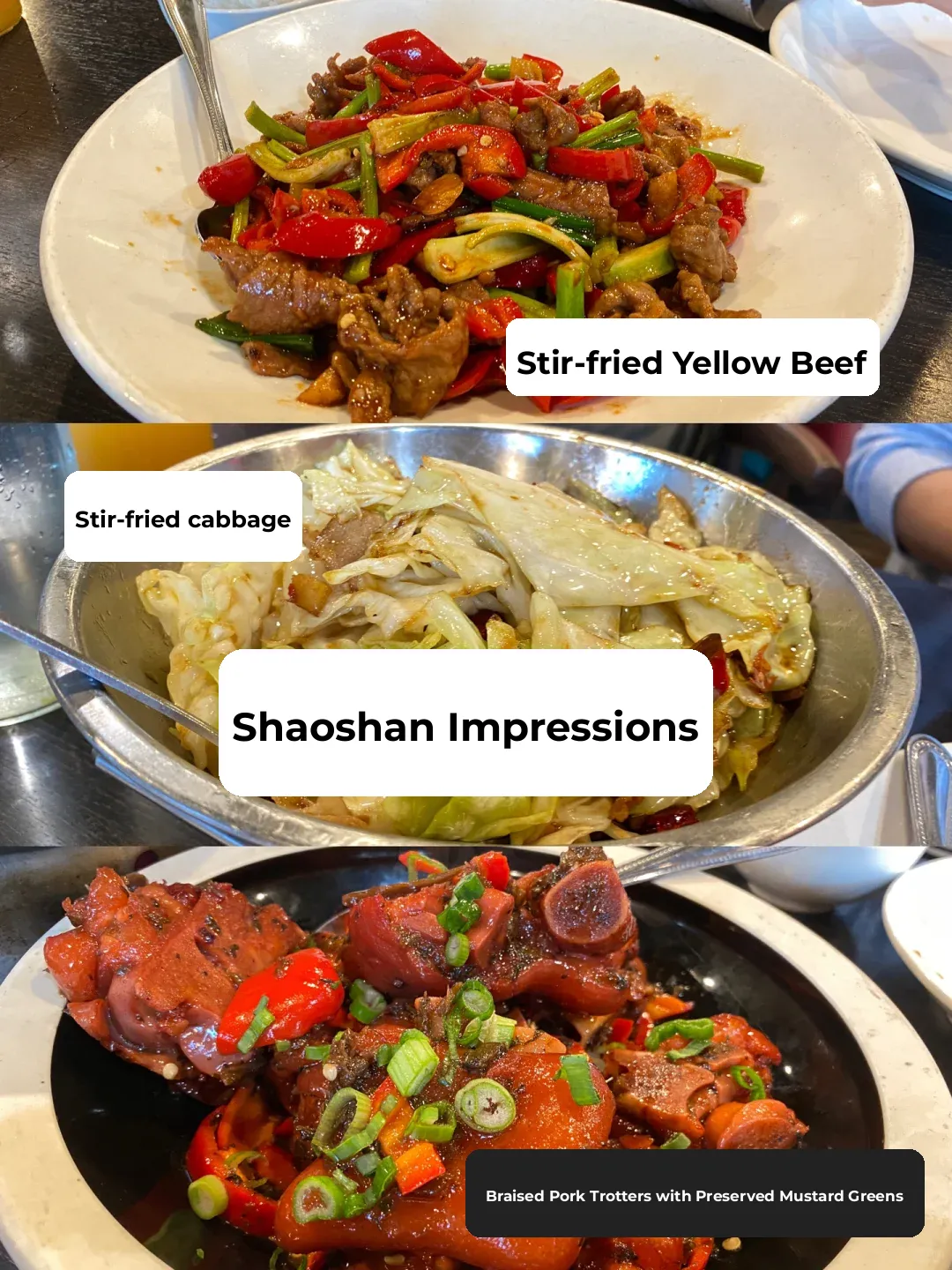 South Bay Eats | Local Classmates' Top Picks for Chinese Restaurants ❤️‍🔥