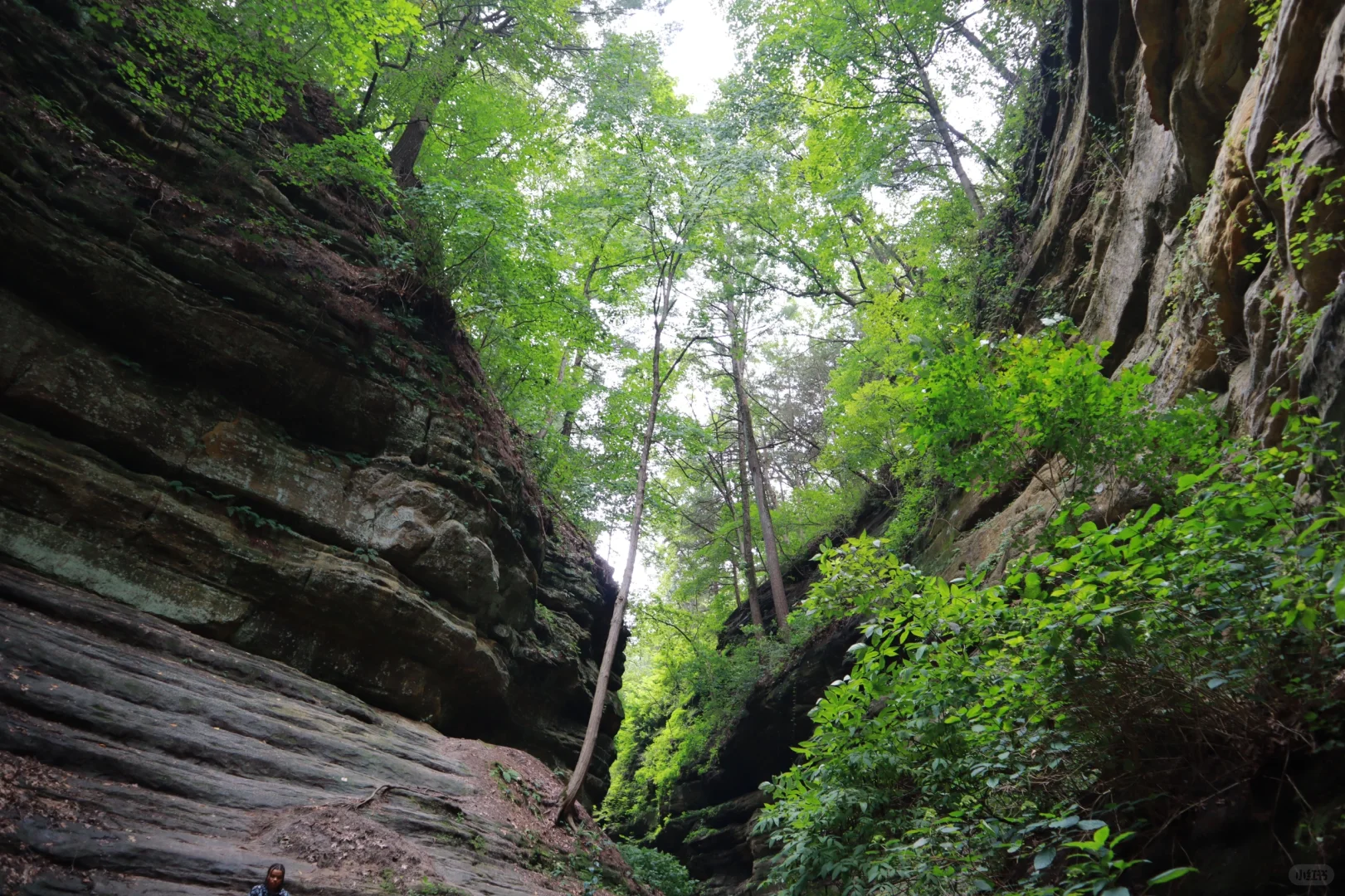 Hiking at Starved Rock ⛰️