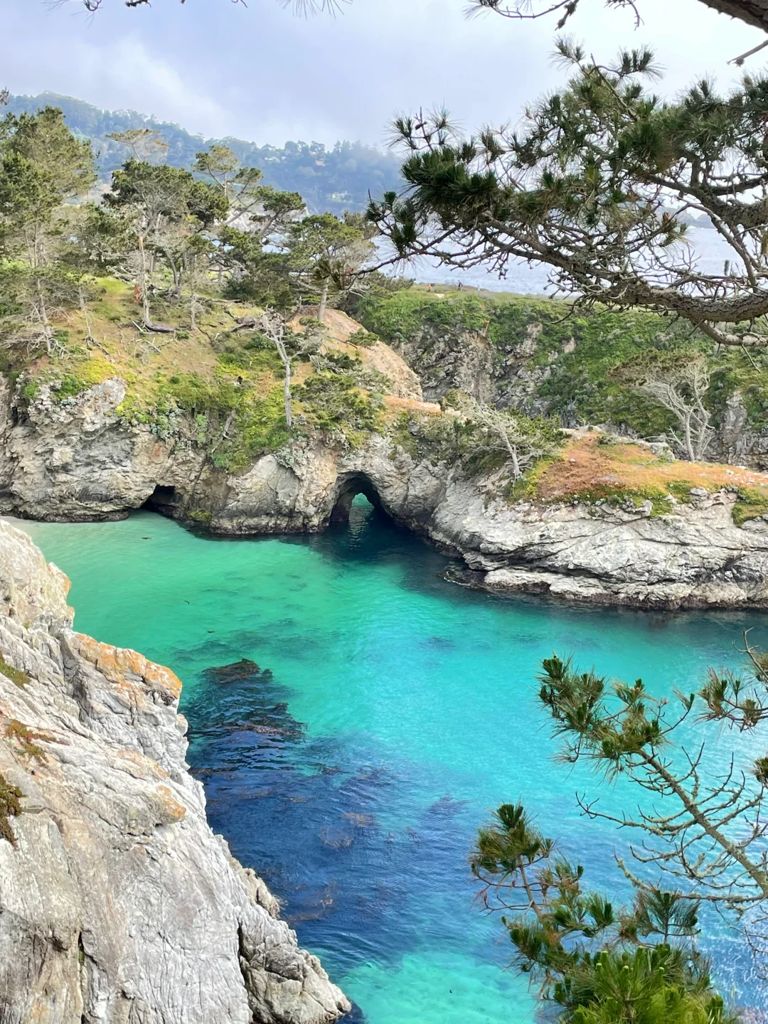 Stunning Ocean Views and Restaurant Recommendations in Monterey