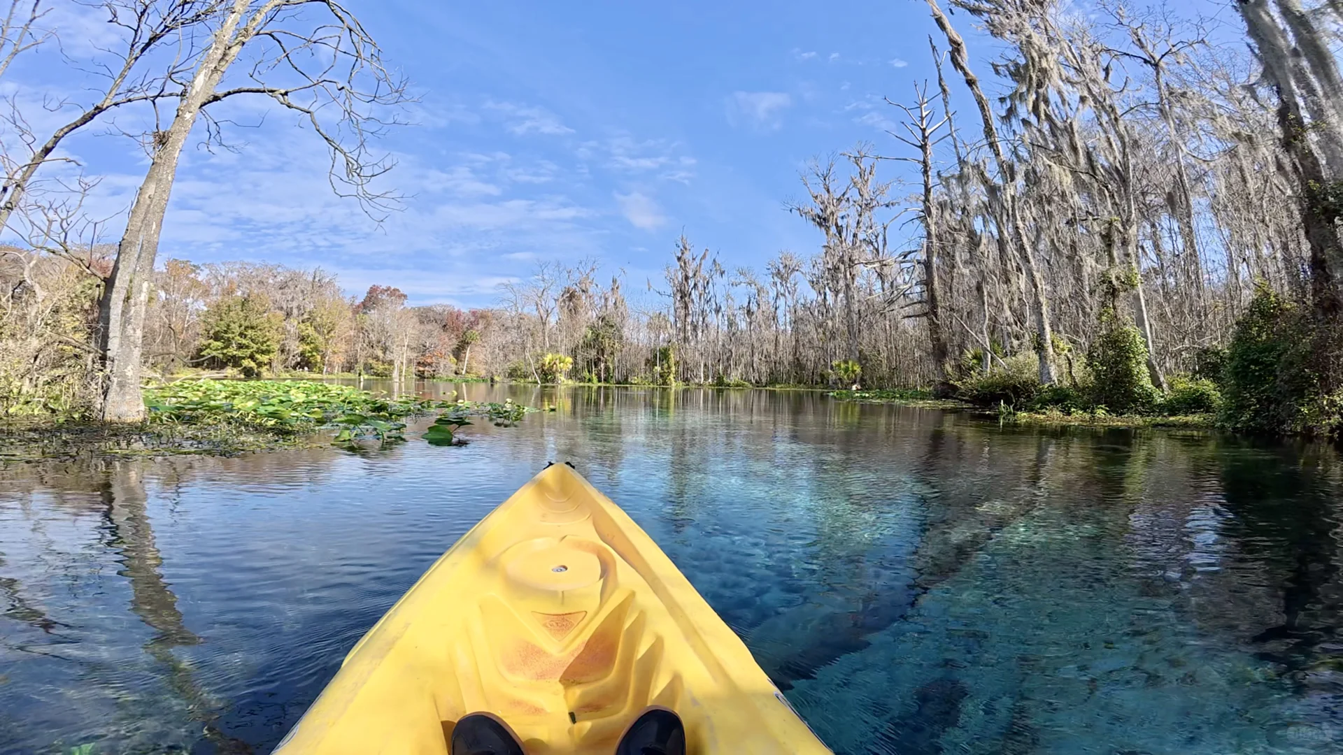Christmas Vacation in Tampa 🌴