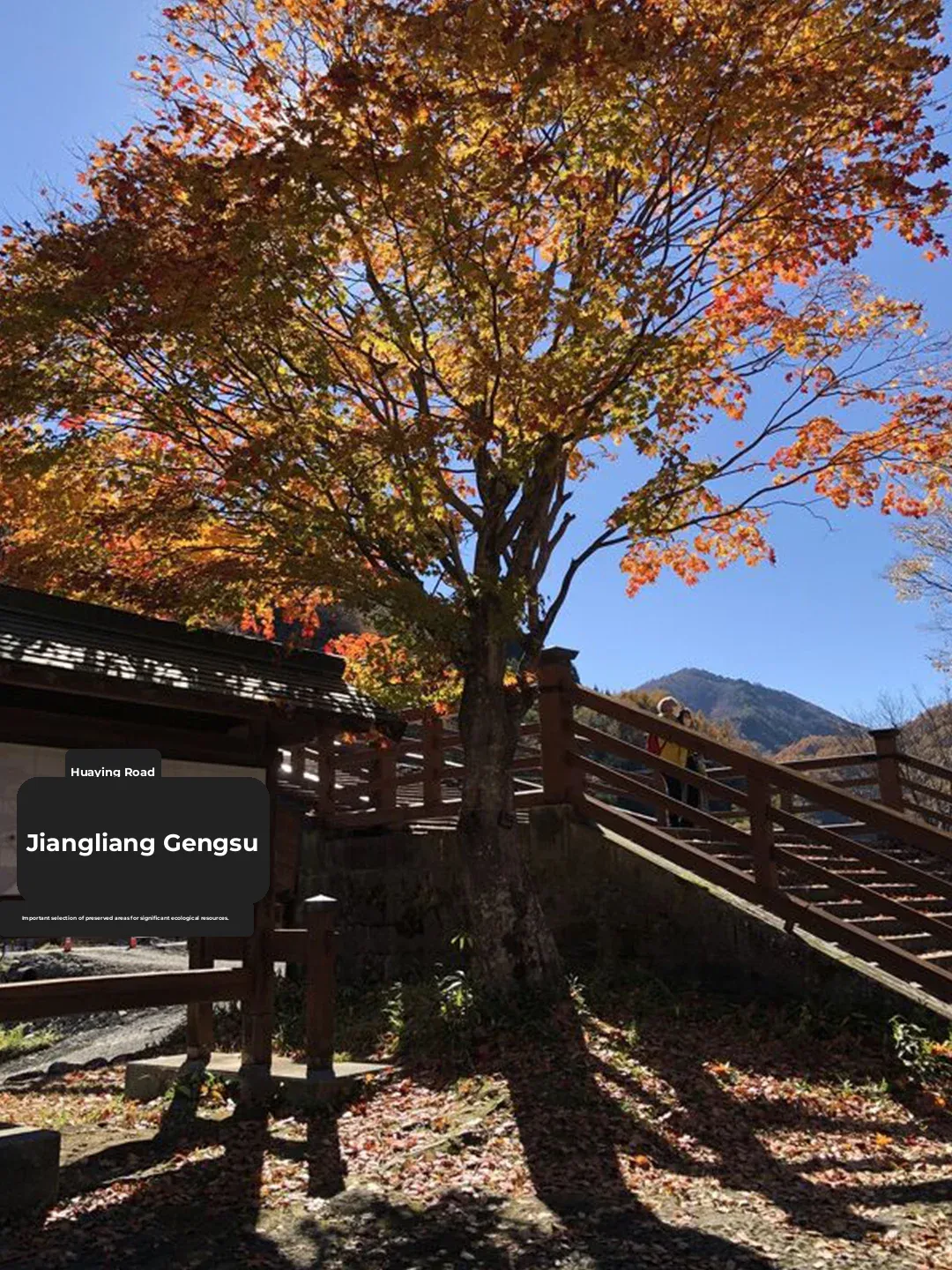🍂 4-Day Autumn Trek Along Japan's Nakasendo Trail 🍂