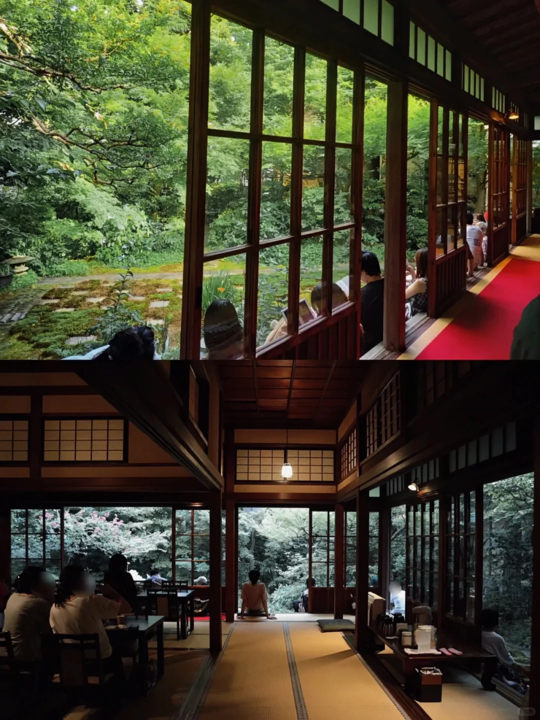 Tokyo, Japan | 🍃 Sip Coffee in a Lush, Verdant Garden