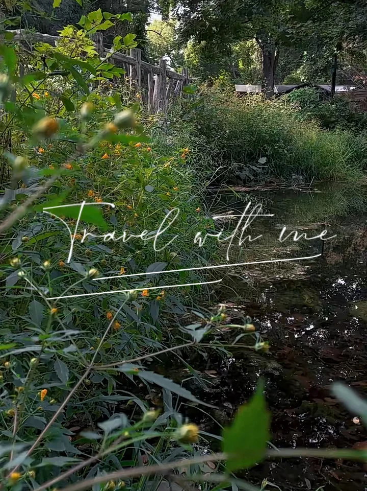 Best Camping Spots in New York: Taconic State Park