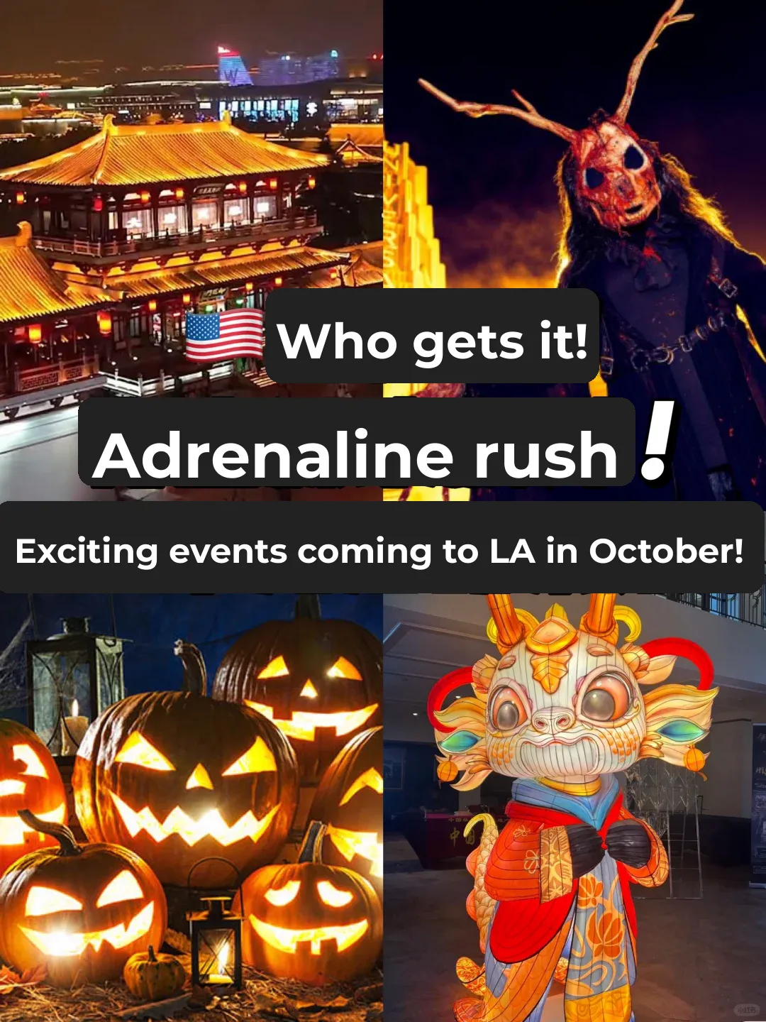 🇺🇸 LA Vibes Are Unreal! October's Exclusive Events Are Here!