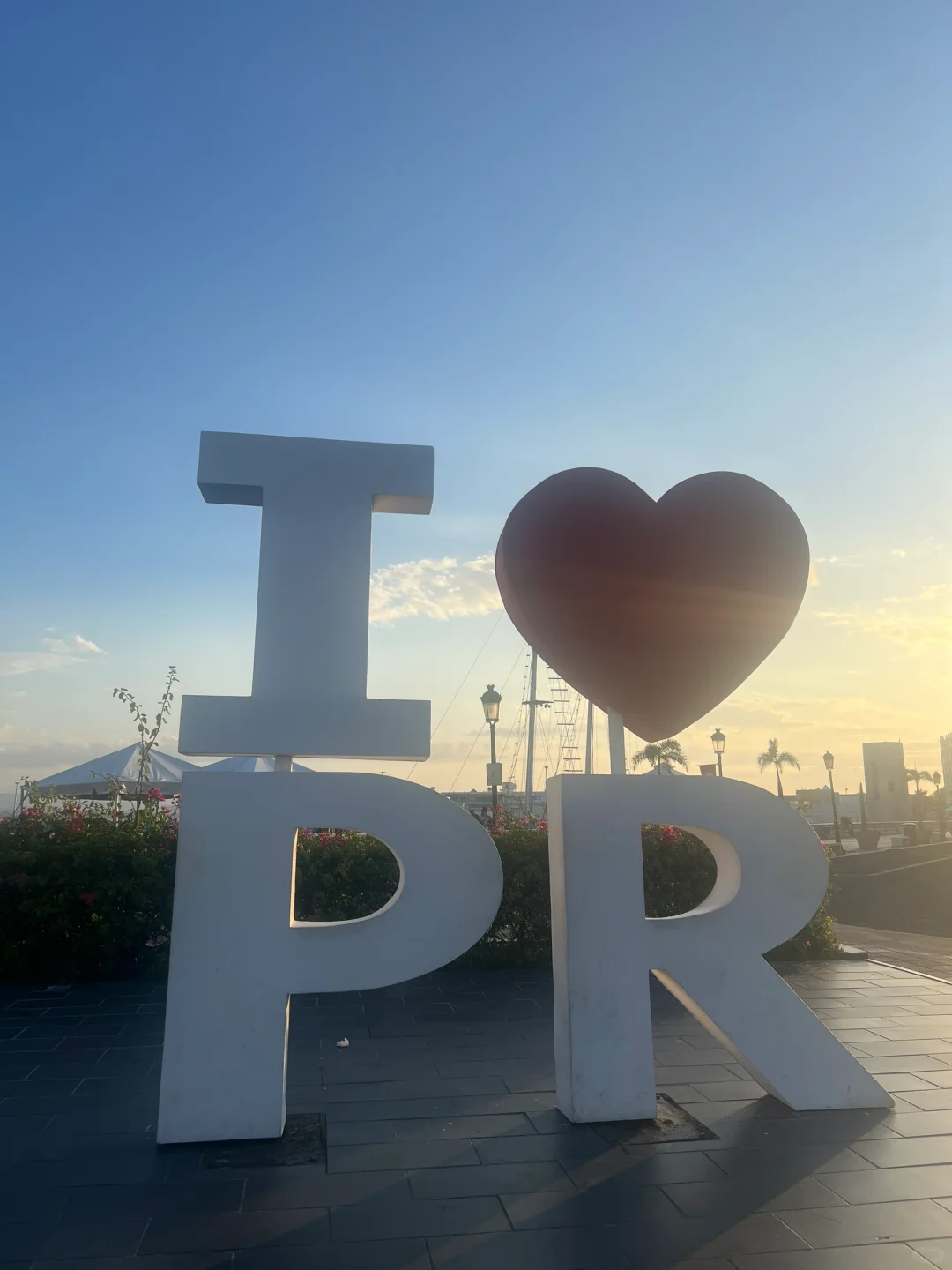 Love in Puerto Rico 🇵🇷