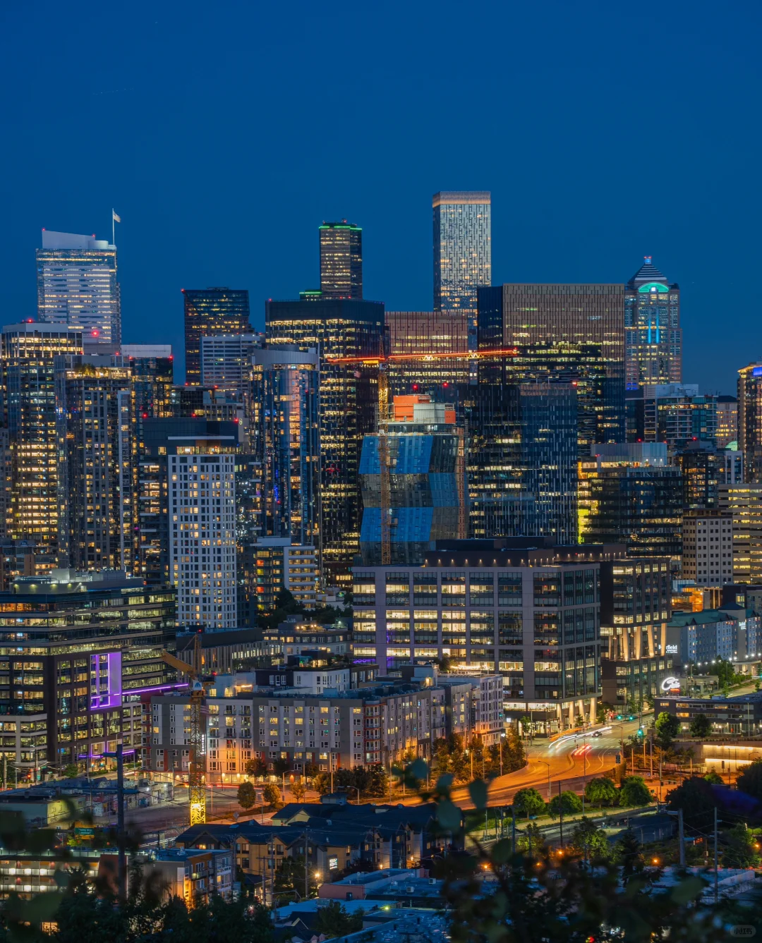 Seattle's Hidden Gem: The Nightscape Park 90% of Locals Haven't Discovered