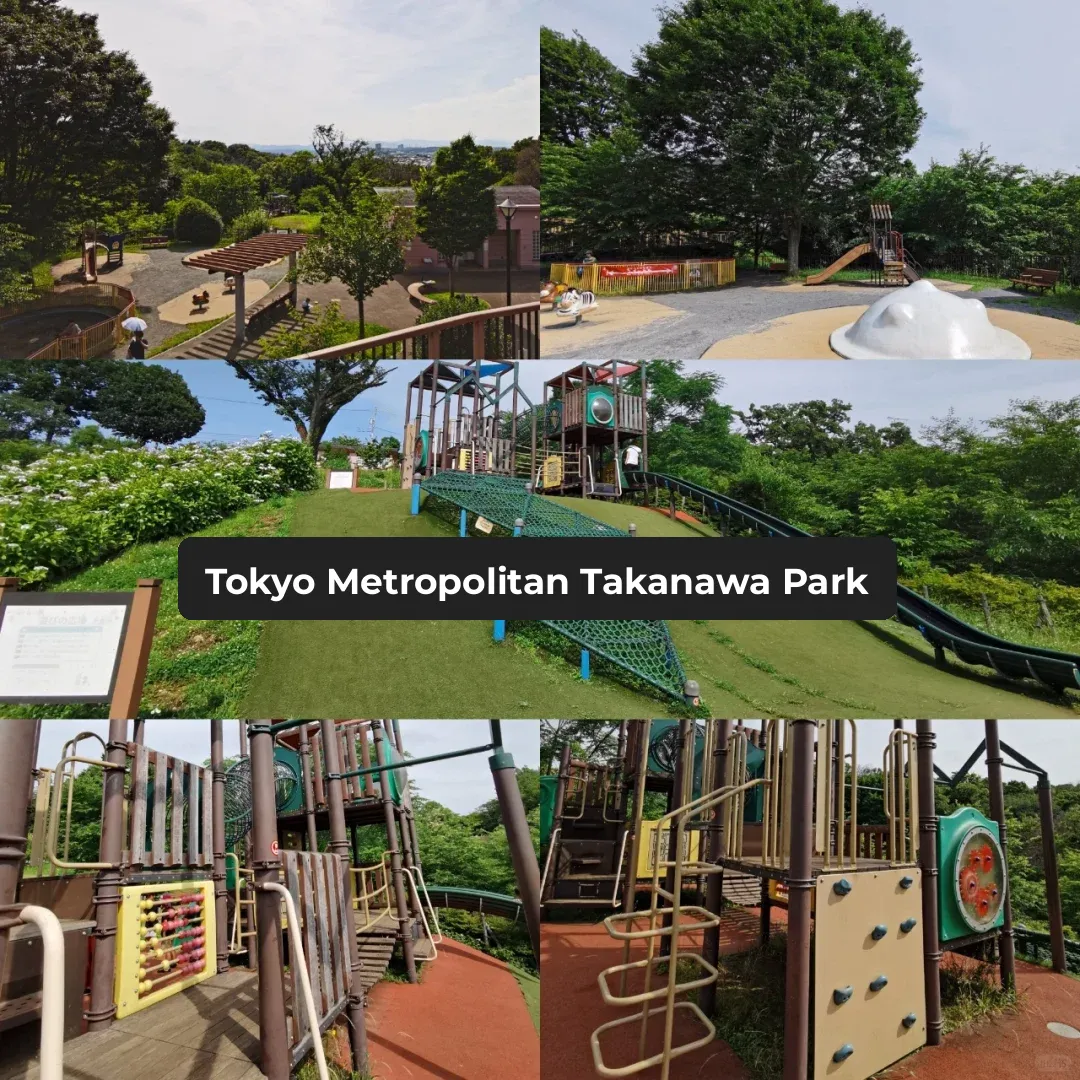 Free Play Park in Tokyo (Tokyo Metropolitan Sakura-no-oka Park)