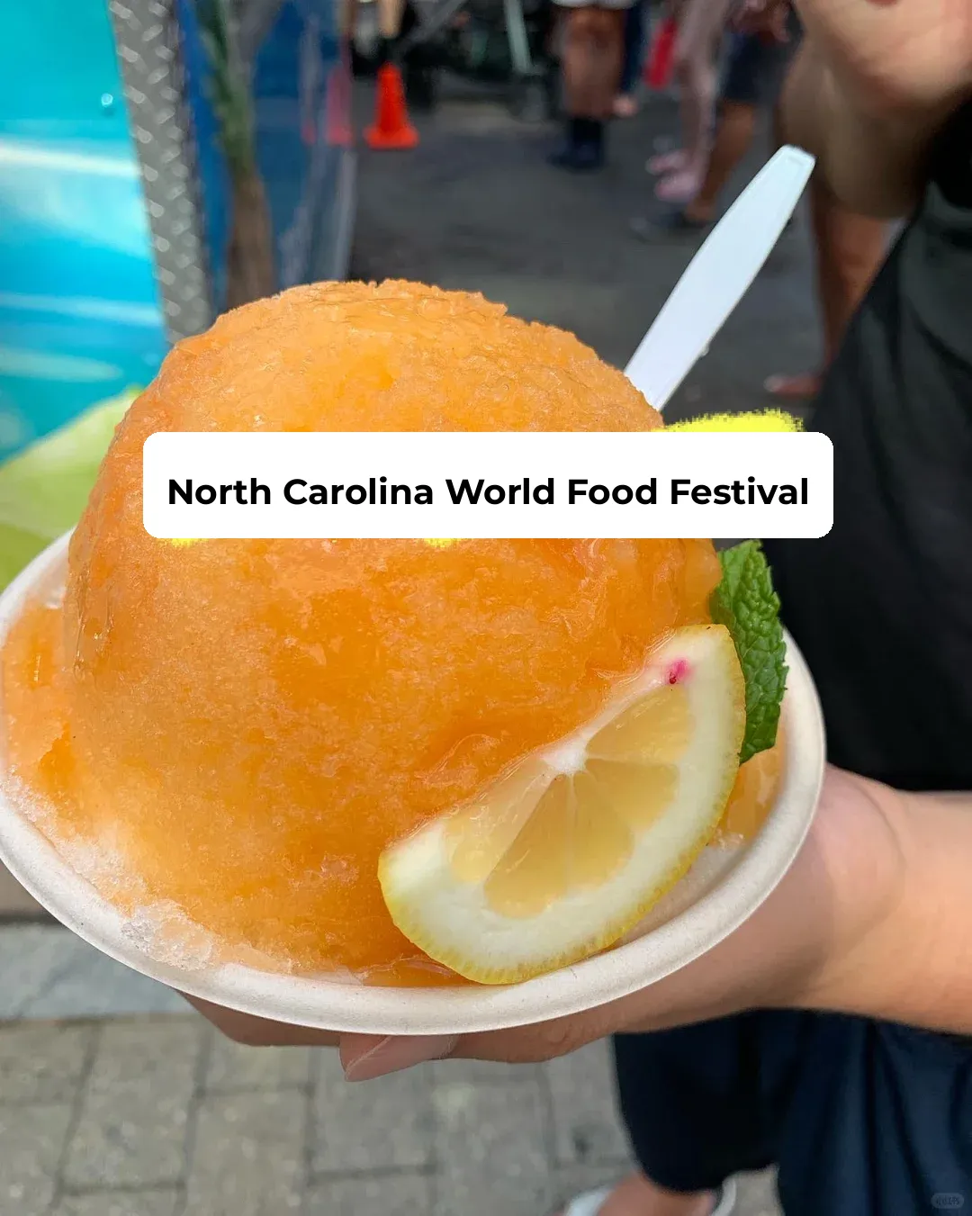 Share | What to Do in North Carolina | World Food Festival