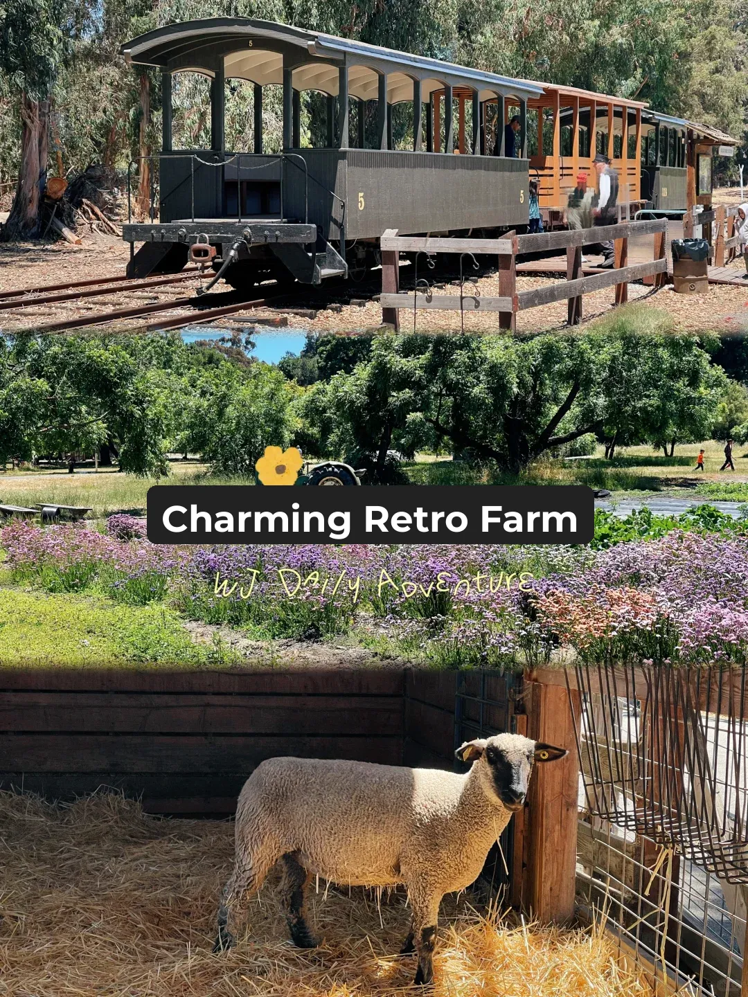 Bay Area Fun | Ride a Vintage Train to Experience the Cozy Charm of a Historic Farm