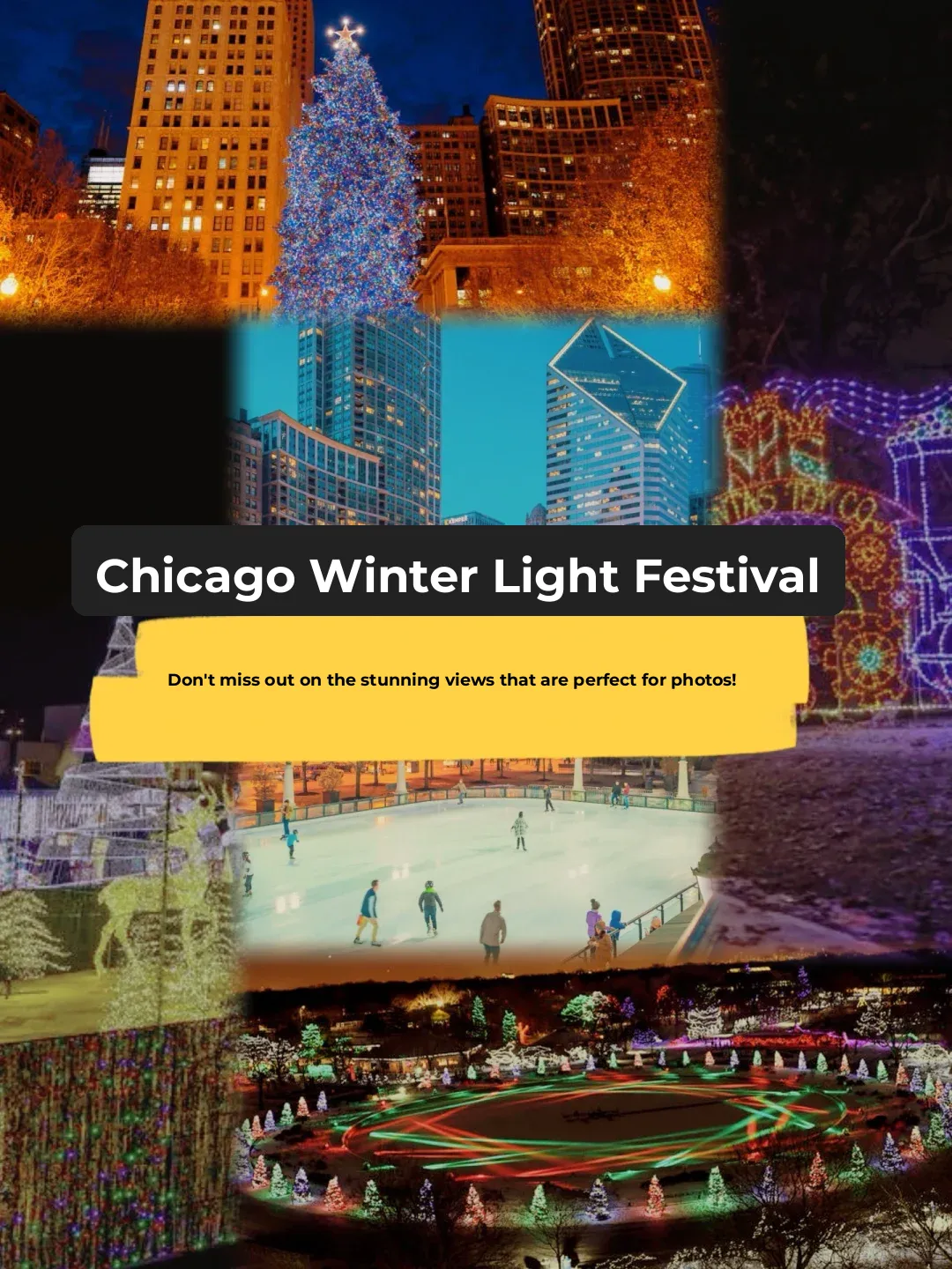 Chicago Winter Magic Light Show Guide ✨ A Dazzling Color Experience 📷