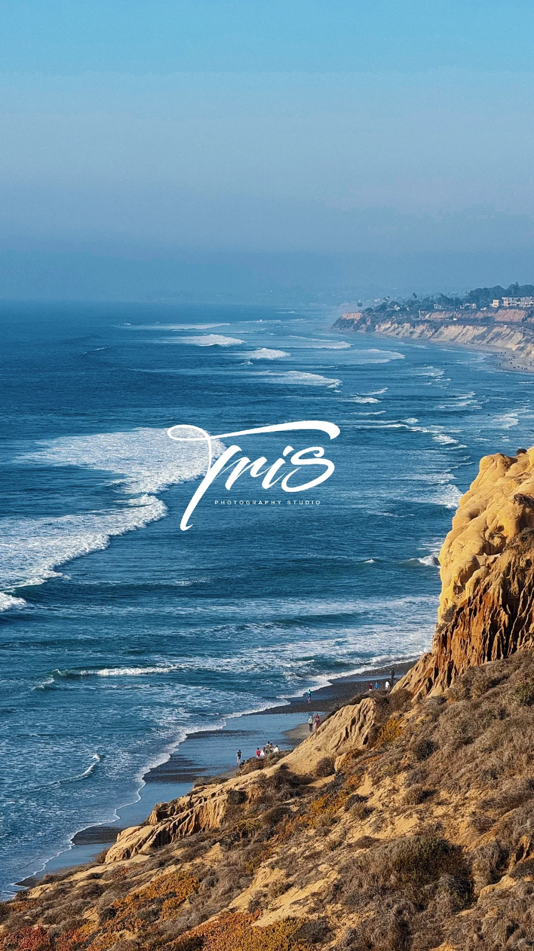 SD | Hiking at Torrey Pines' Most Stunning Cliffs + Ocean Views 🌊
