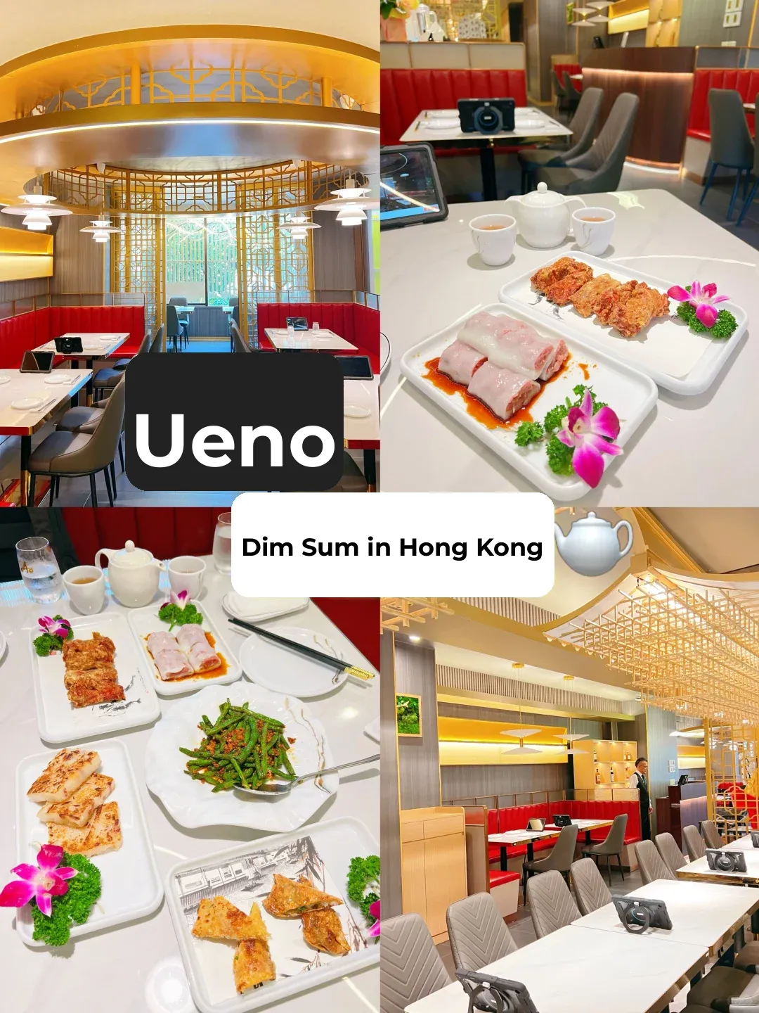 The Newly Opened Hong Kong Tea Place in Ueno 🍴 Has Unbelievable Ambiance and Service 💥