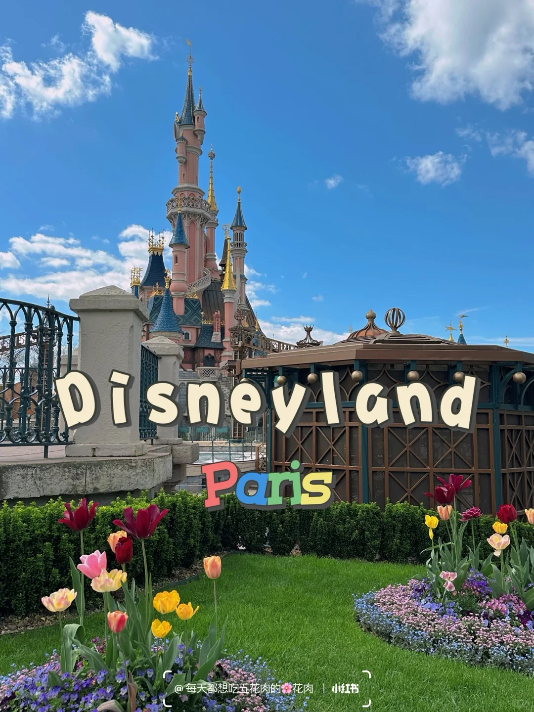 🇫🇷 Paris | 20 Disneyland Paris Rides Reviewed + Tips