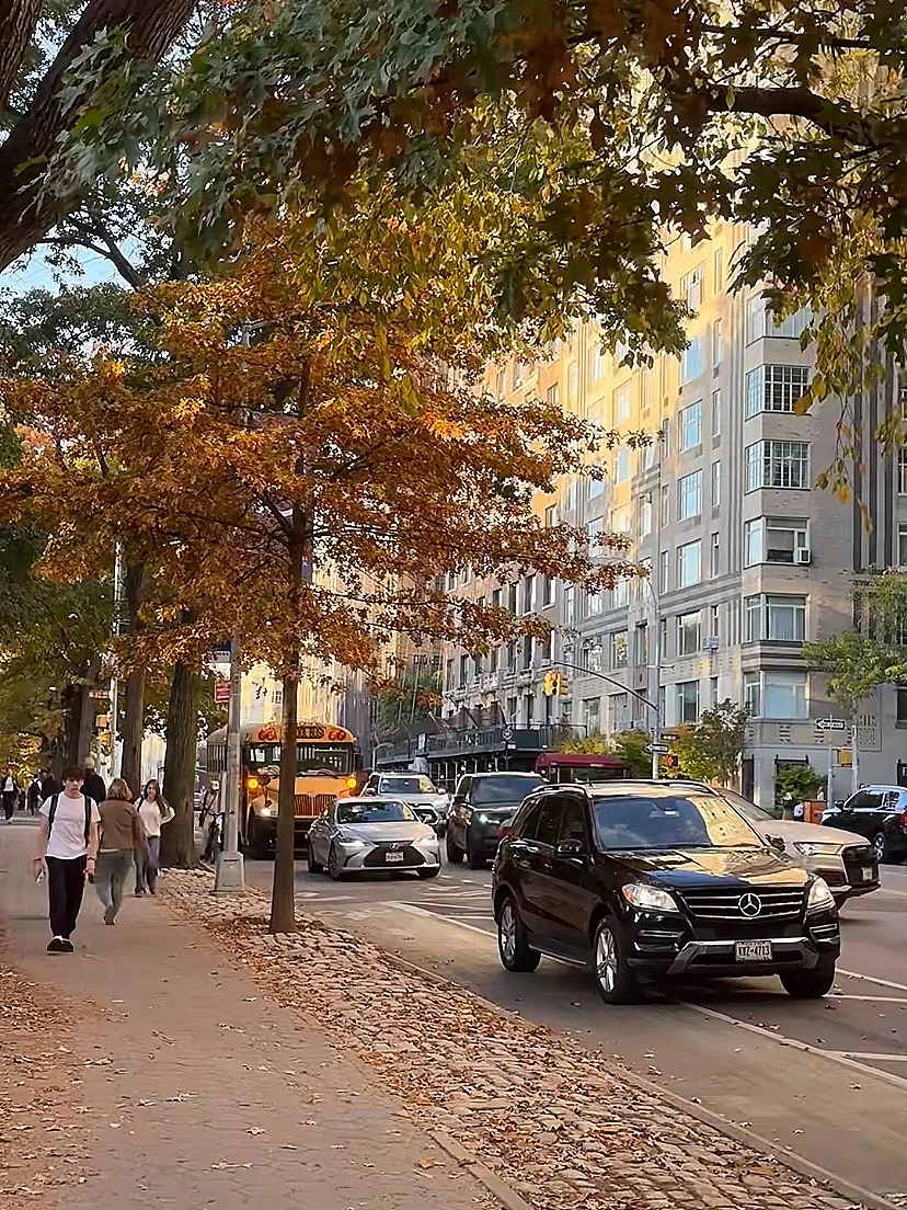 🇺🇸 The Real New York: You’ll Regret Coming (With a Foolproof Guide)