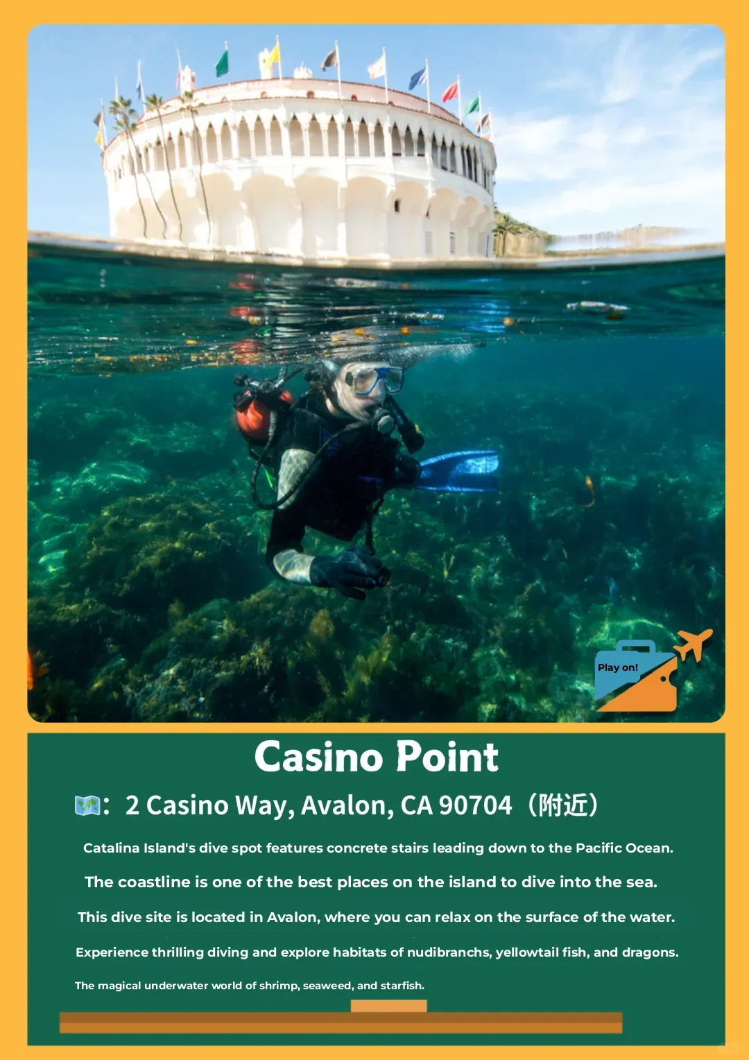 Best Dive Spots Around LA 🤿 Join the Group and Let's Dive In!