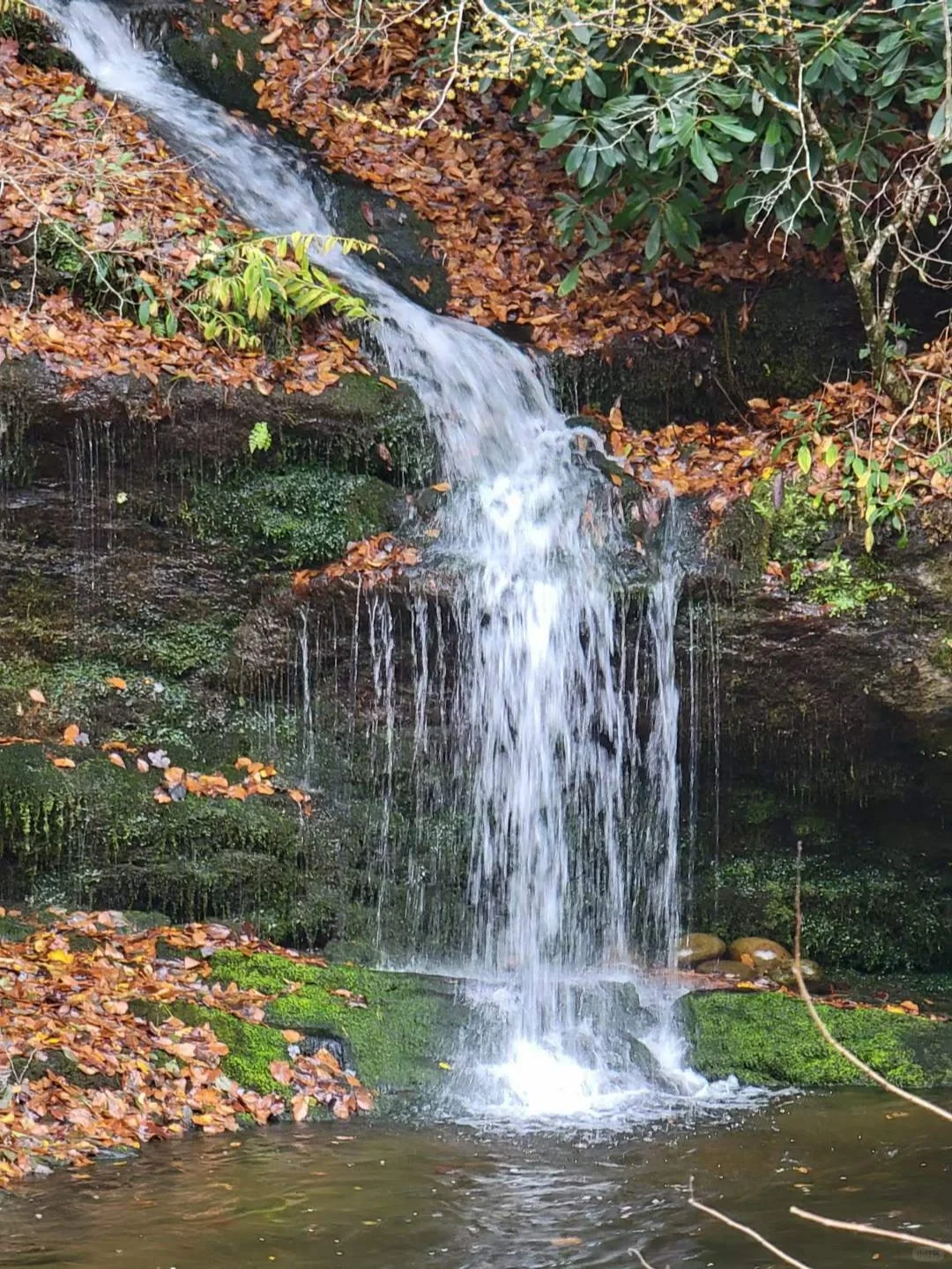 Great Smoky Mountains Road Trip (Waterfalls Edition)