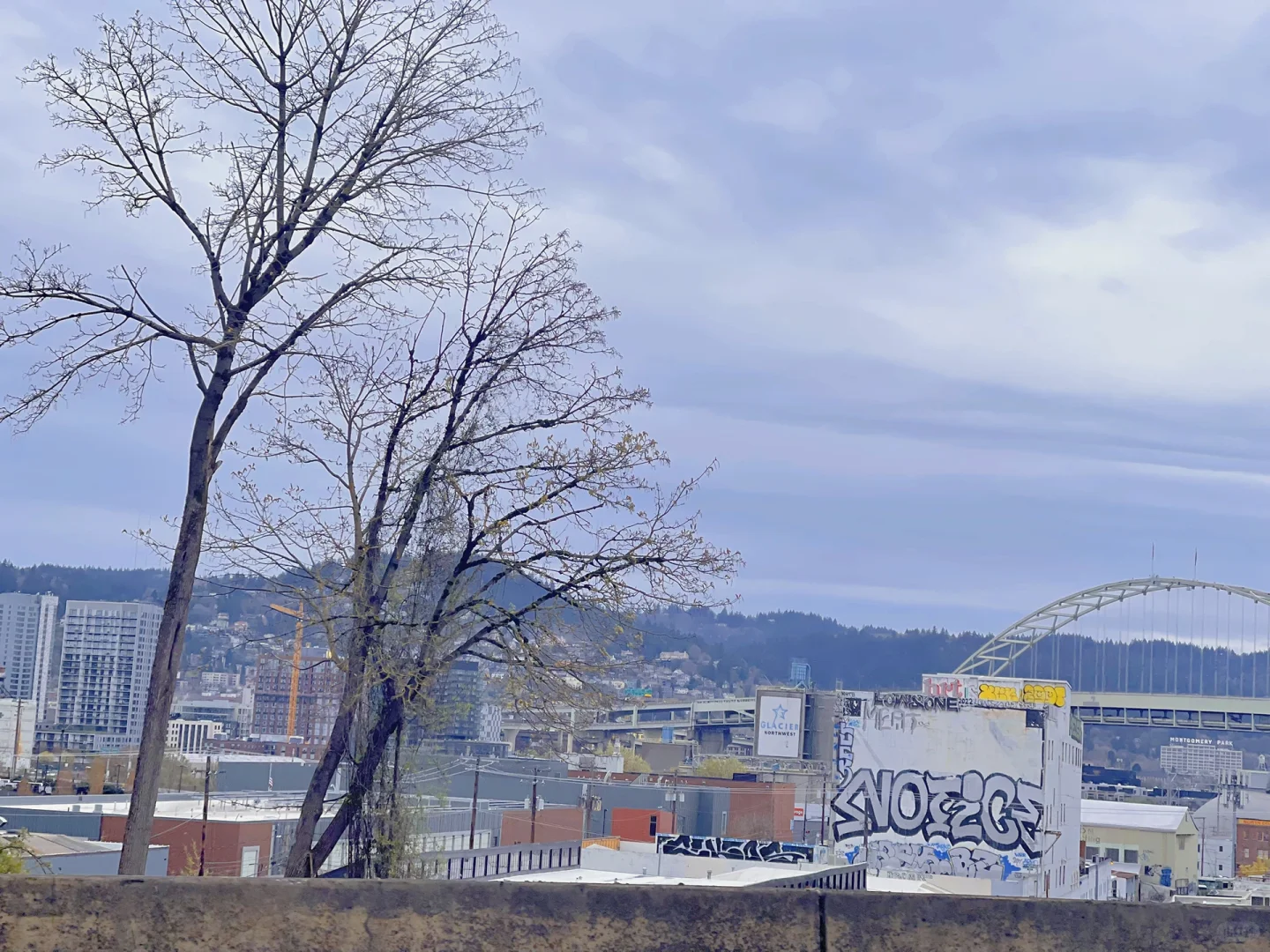 📍Portland | A Glimpse into Life in Portland