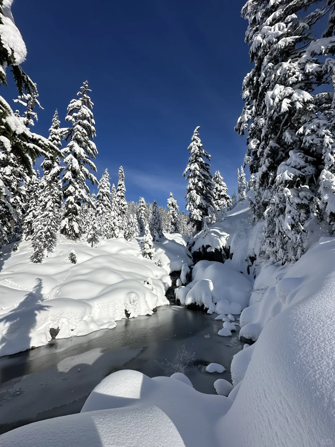 "Seattle in Winter is Still Blissful | Your Guide to Beating the Winter Blues"