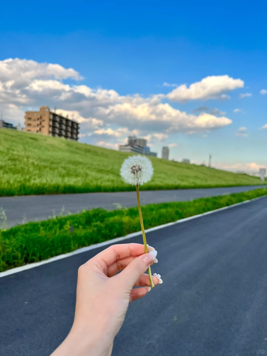 🇯🇵 A Stroll Around the Hood