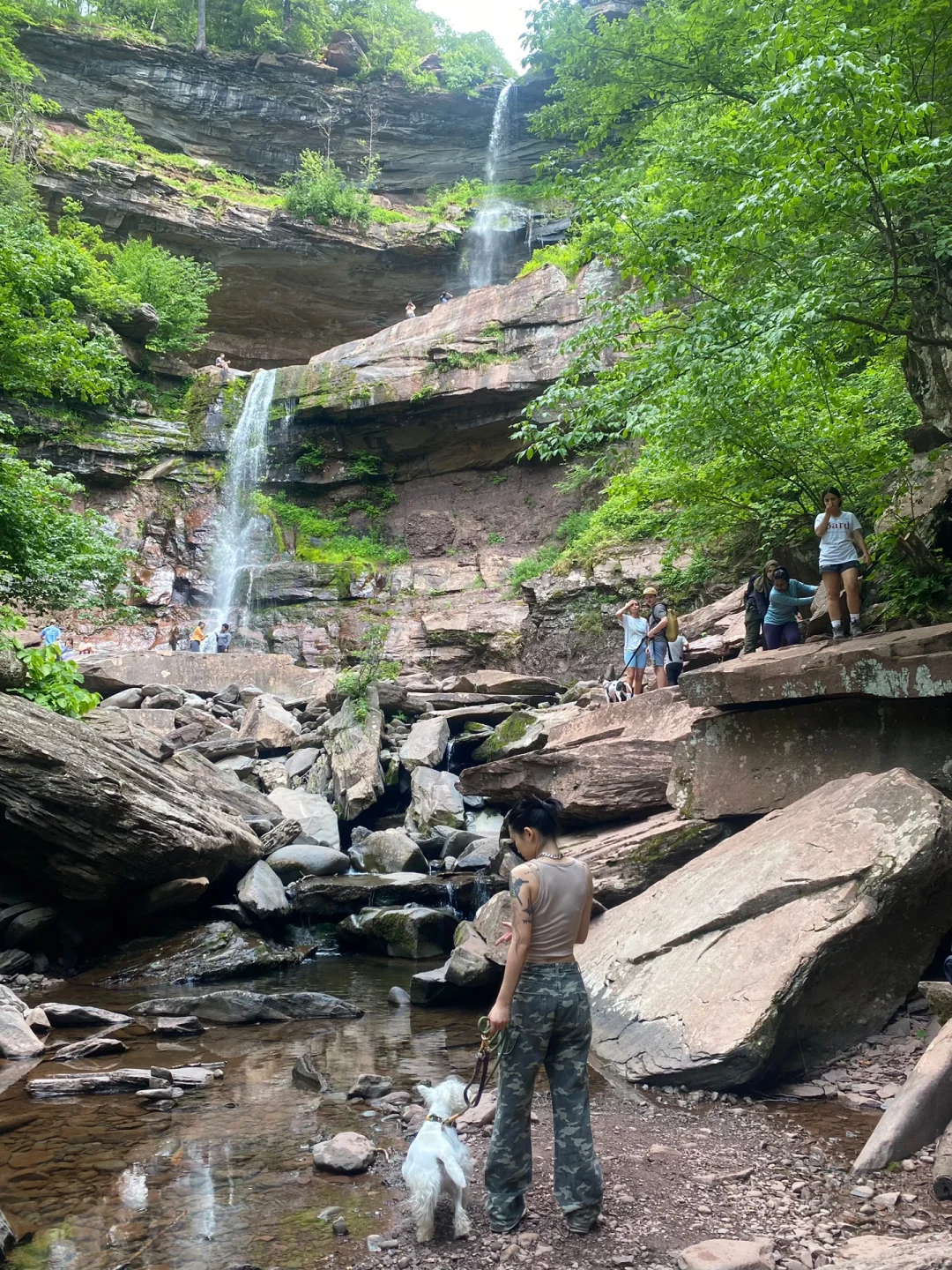 3 Top Dog-Friendly Hiking Spots Near NJ/NY