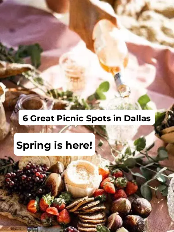 "Dallas Picnic Guide: Fulfilling All Your Springtime Expectations"
