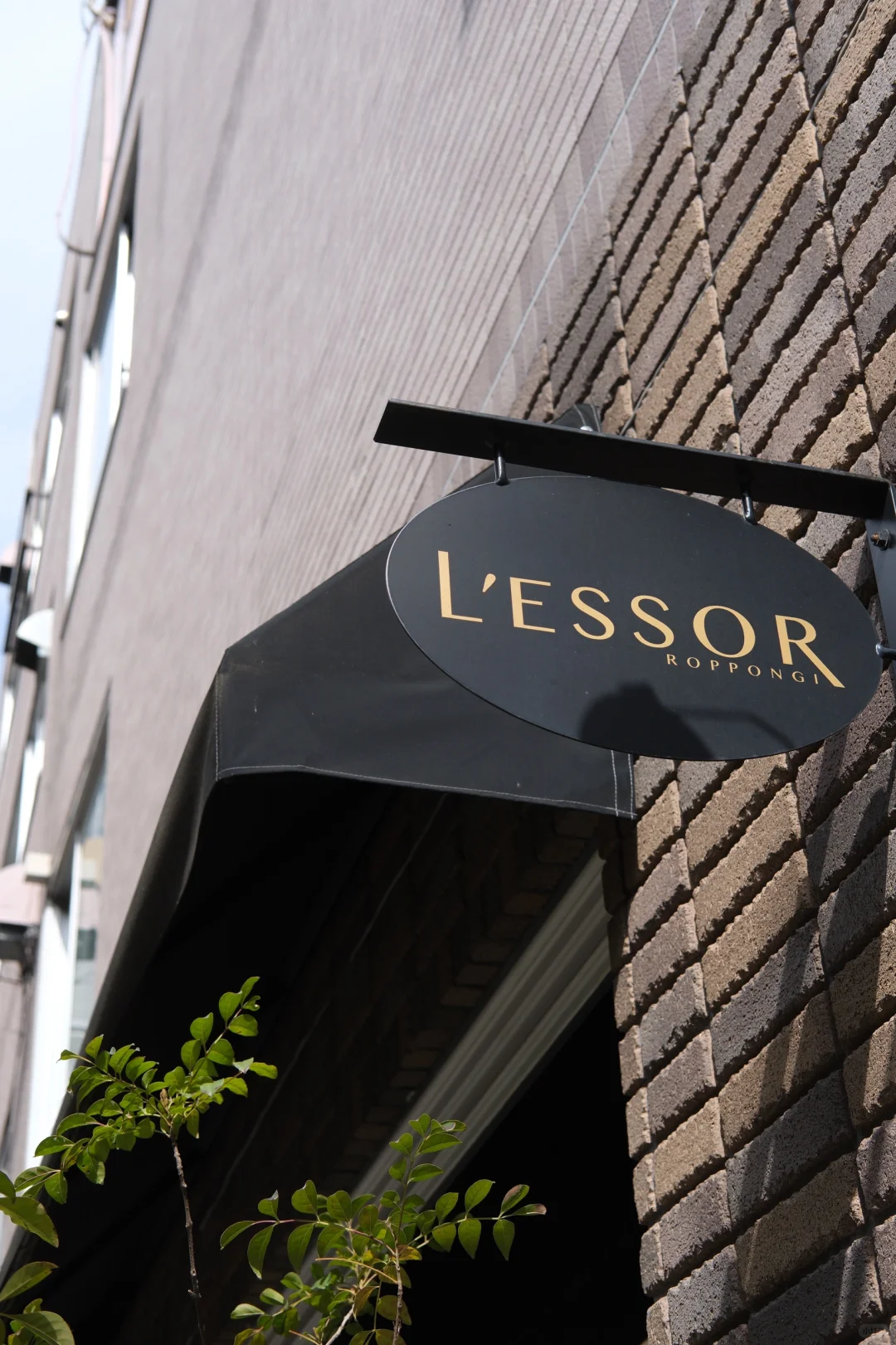 L'essor: Affordable French Dining in Tokyo That Actually Fills You Up