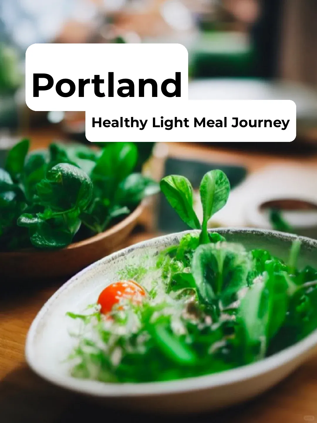 Harlow: The Perfect Fusion of Lush Greenery & Wholesome Cuisine