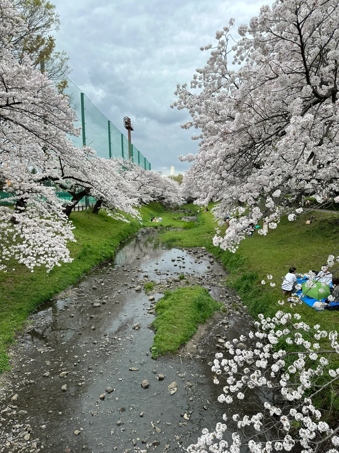 Stop Relying on Maps for Genkawa Greenway!