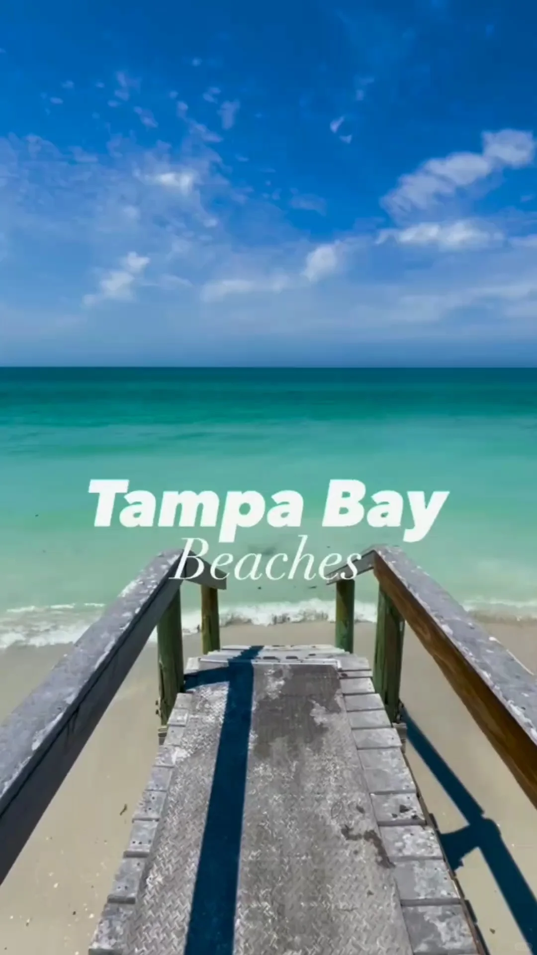 Diamond and Tampa Bay Beaches: A Perfect Match at 100% 😭😍