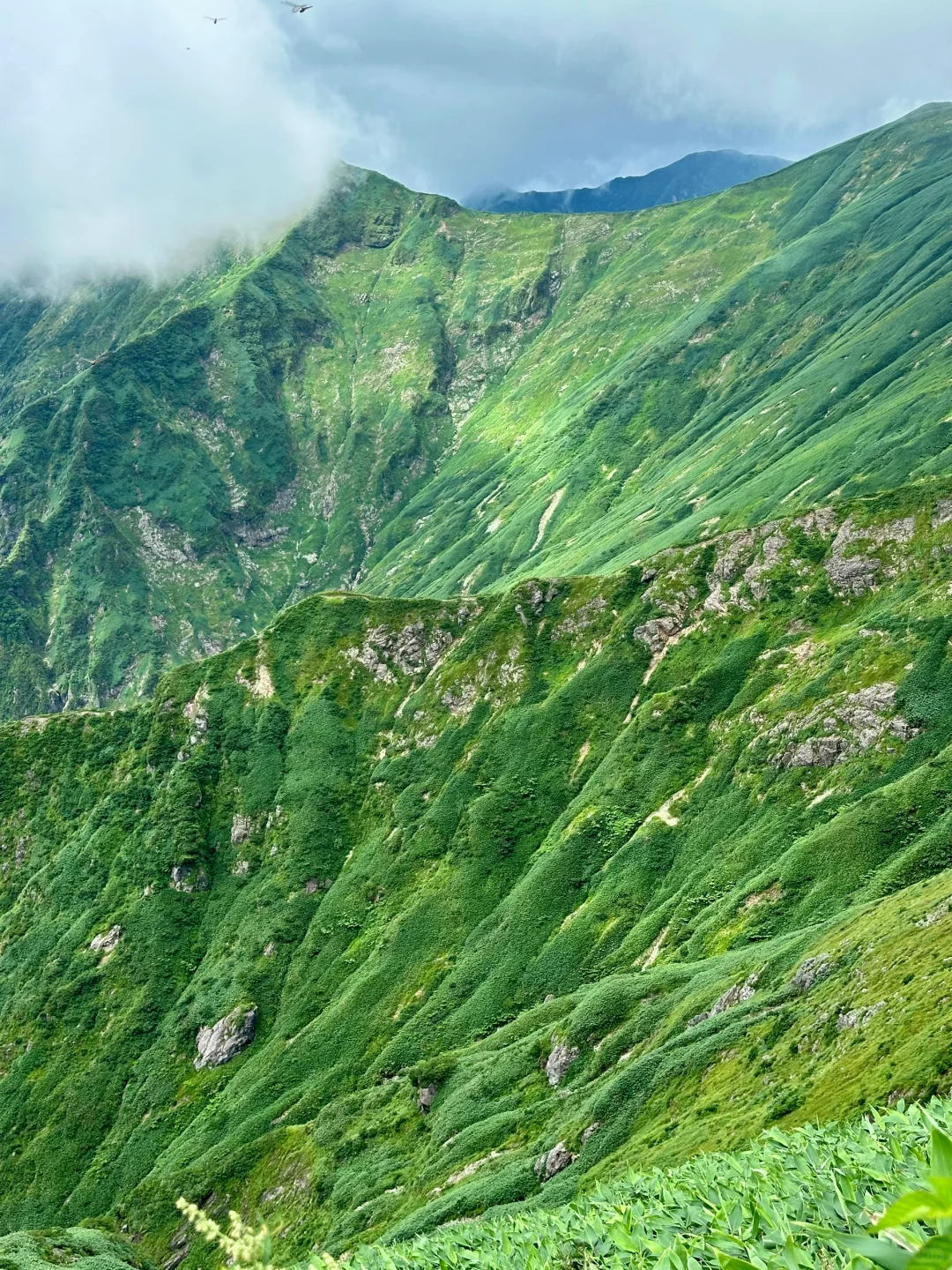 Mount Tanigawa | One of Japan's 100 Famous Mountains | Day Trip from Tokyo | Outdoor Adventure | Beginner-Friendly