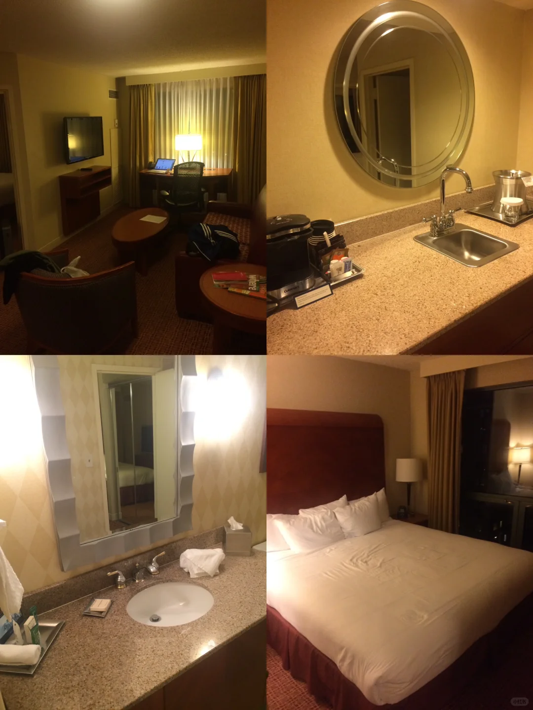 Chicago Hilton Options Are Plentiful! Essential Hotel Selection Tips 🏨