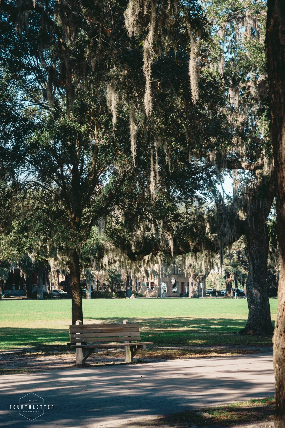 Savannah｜Experiencing the Romance of a Southern Town During Thanksgiving