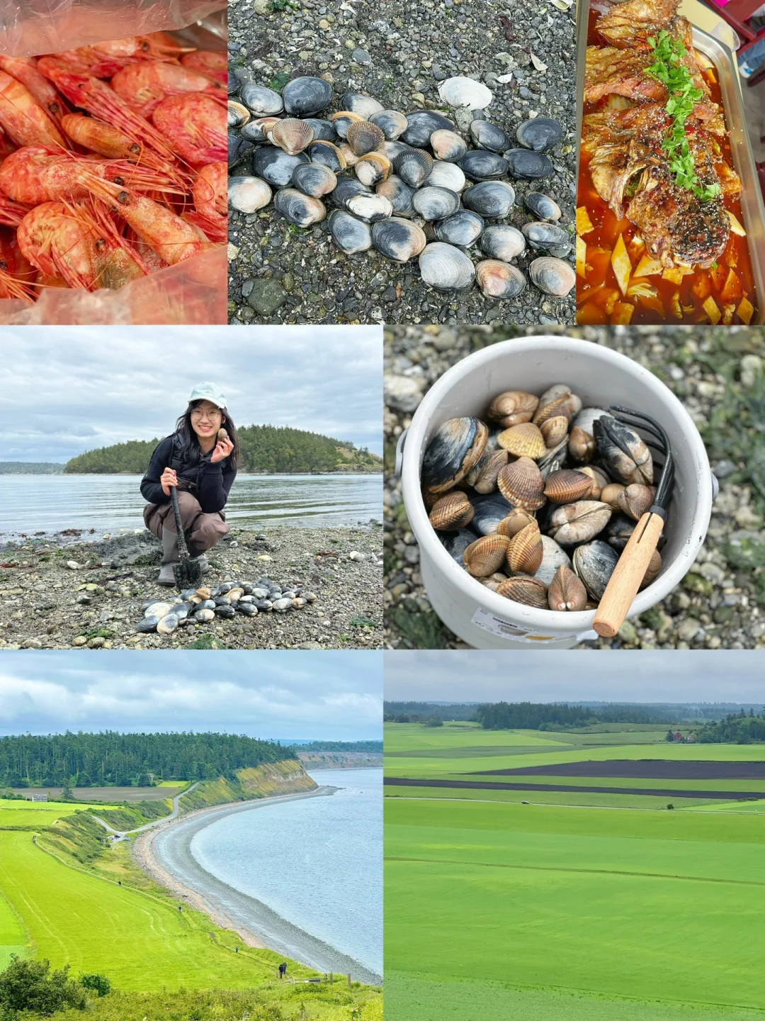 Seattle's Laid-Back Getaway: A Two-Day, One-Night Trip to Whidbey Island