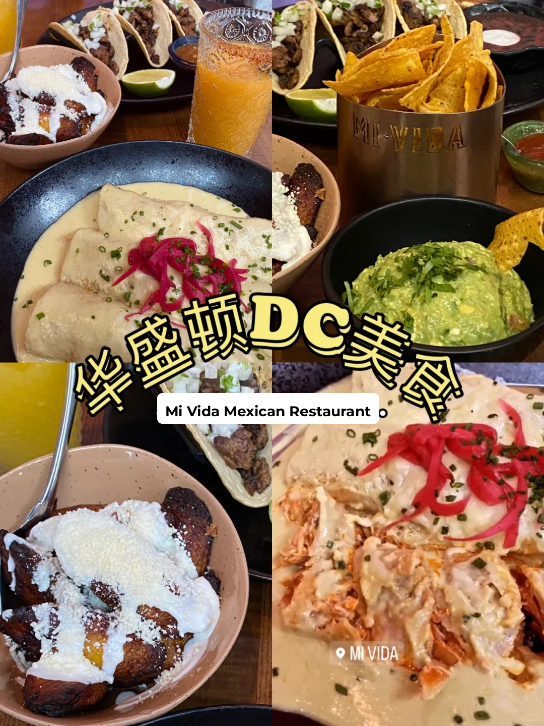 Mi Vida: Must-Try Mexican Eats in Washington DC 🌮