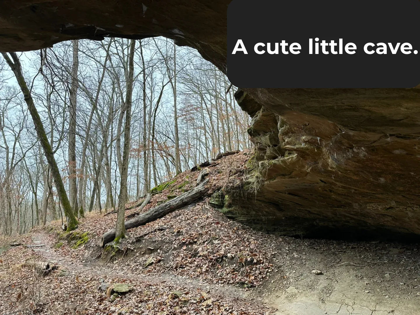 Outdoor Adventure in St. Louis – Zombie Trail