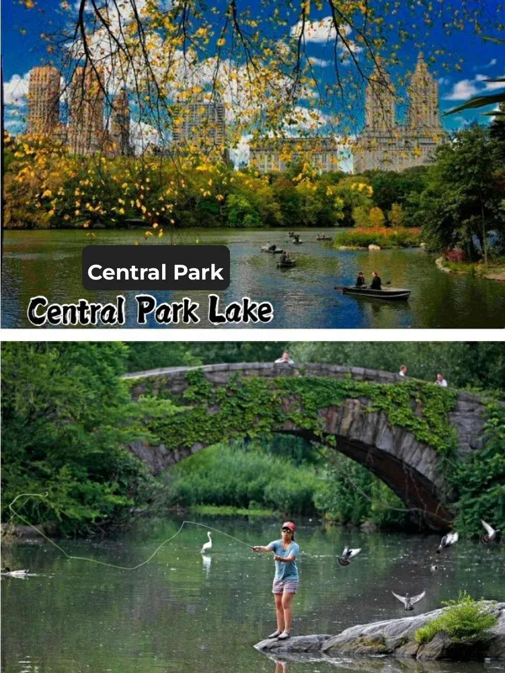 Free Fishing This Weekend 🎣 Top 9 Fishing Spots in NYC