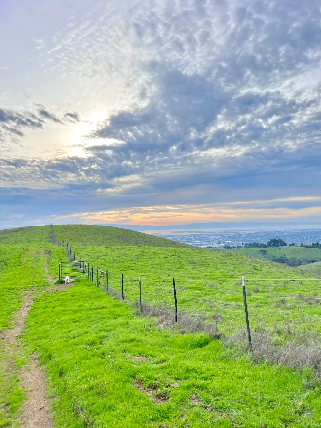 The Bay Area's "Little Switzerland" is live! Don't you want to come out and explore? 🌄