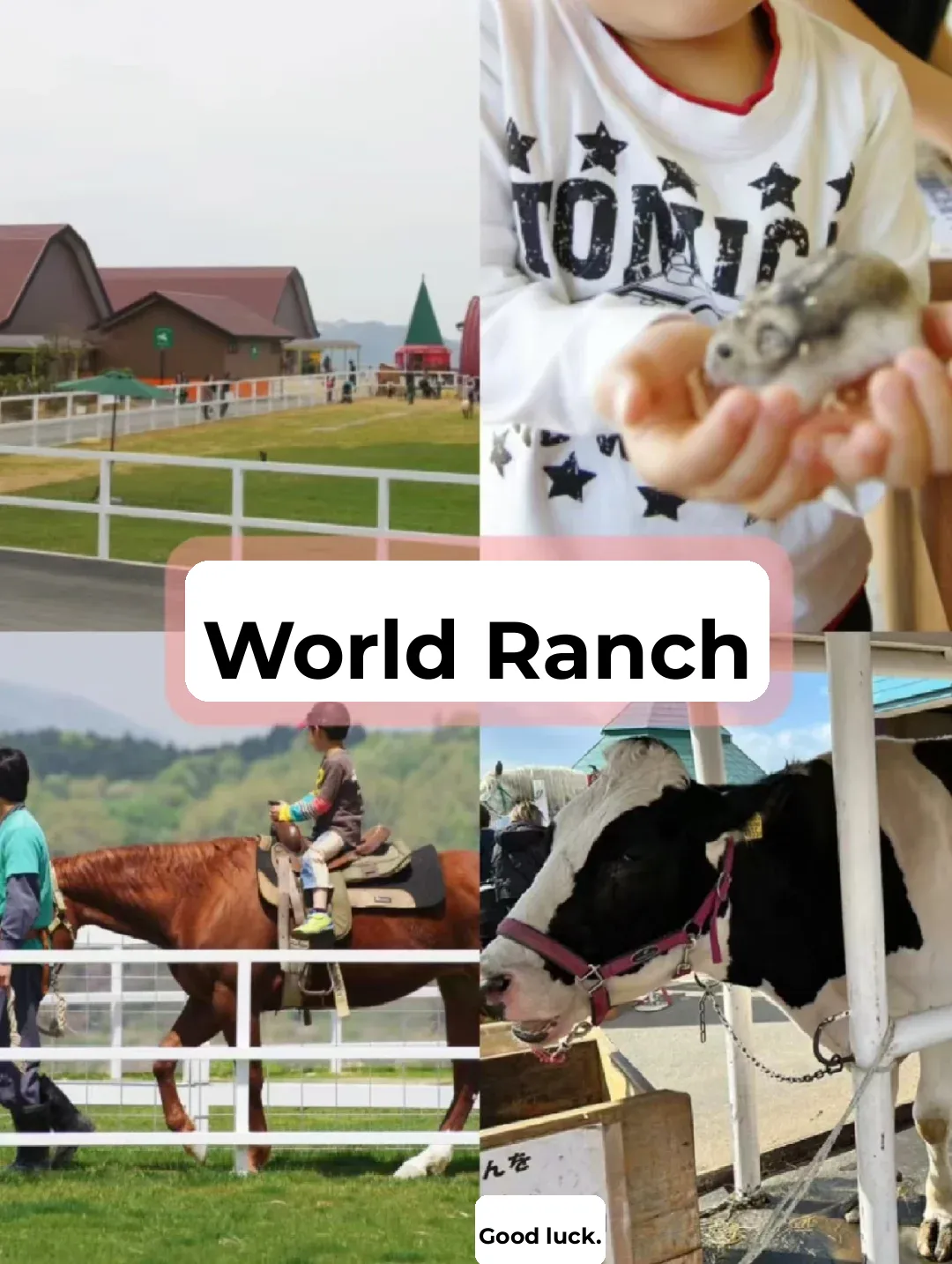 Osaka Family Trip: Top 3 Must-Visit Spots