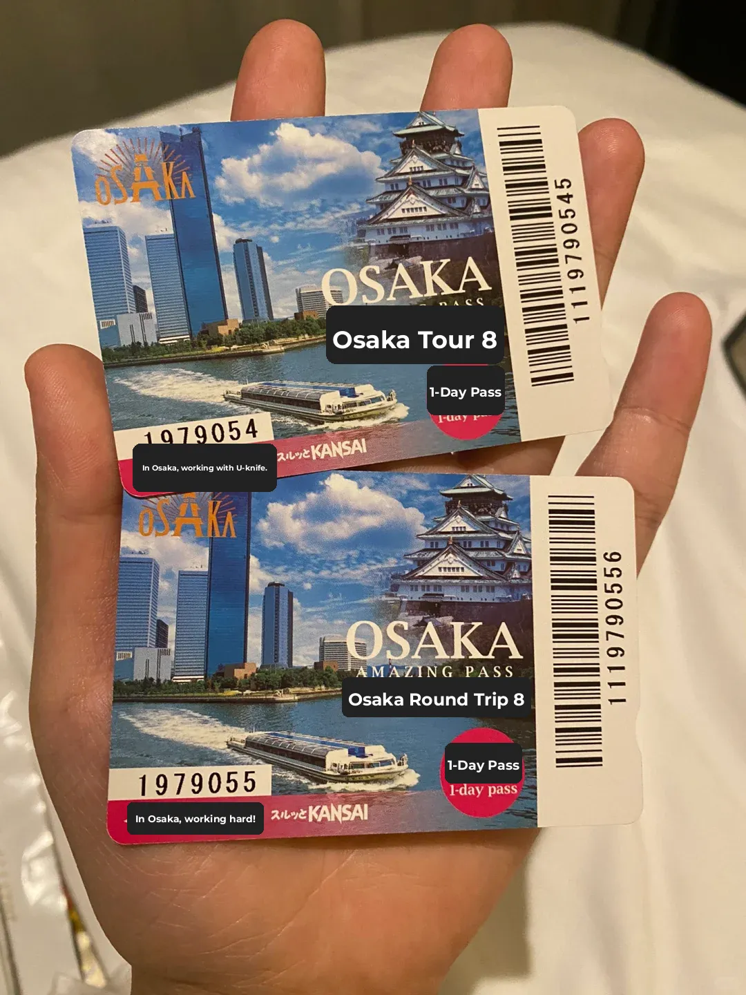 Extreme Rookie's One-Day Osaka Adventure (Savvy Pass-Saving Itinerary Guide)