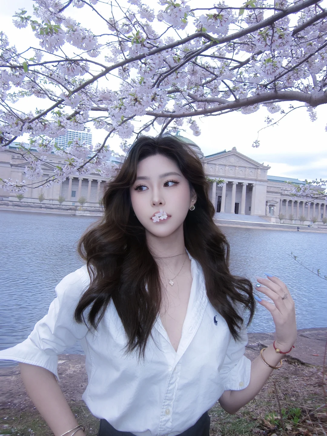 Cherry Blossom Spotting in Chicago