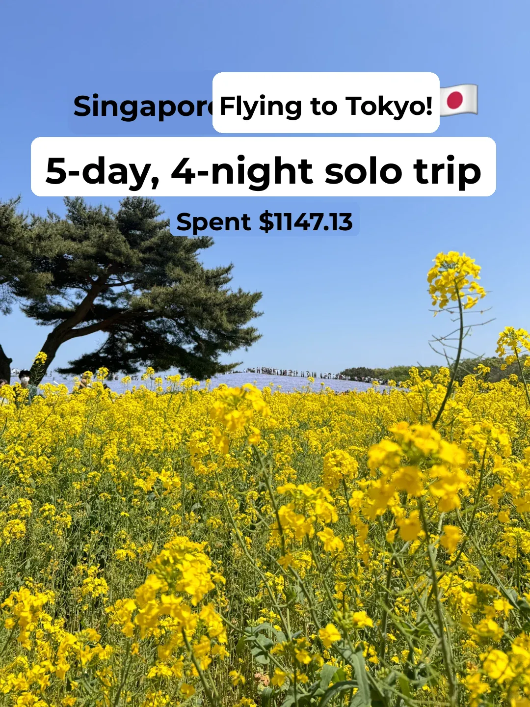 5 Days 4 Nights Itinerary: Hidden Gems from Singapore 🇸🇬 to Tokyo 🇯🇵