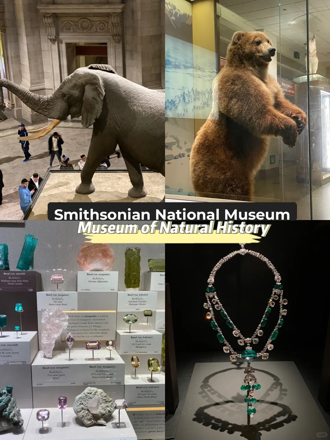 ✨Washington D.C. 4-Day, 3-Night Ultimate Guide 🥰 (No Filter Edition)