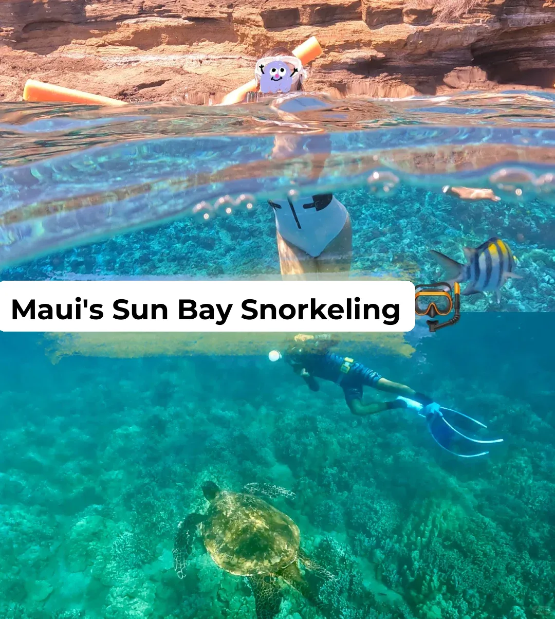 Snorkeling Guide to Molokini Crater (Moon Bay) in Maui