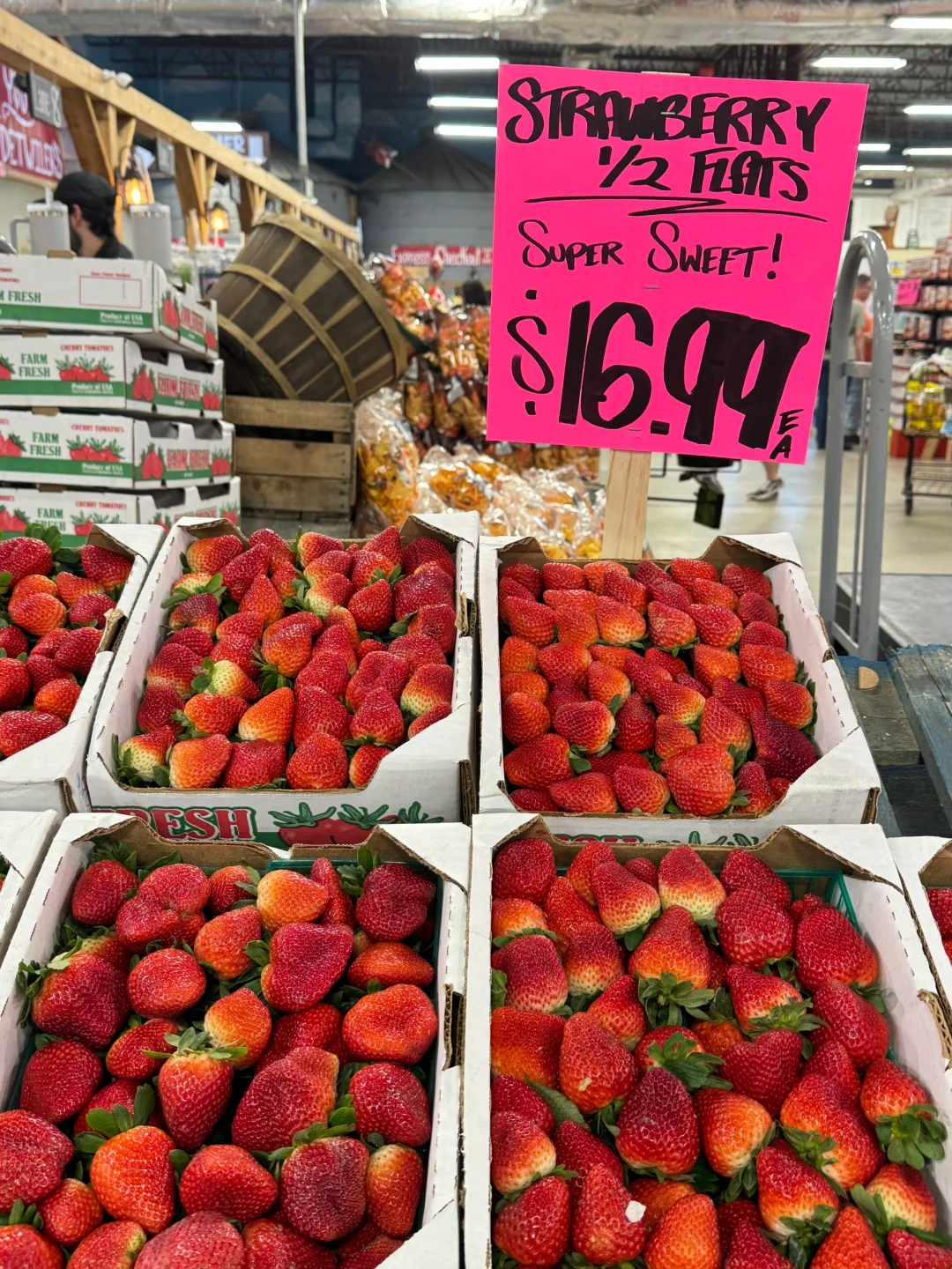 Daily Life in Florida: Recommended Parks and Grocery Stores