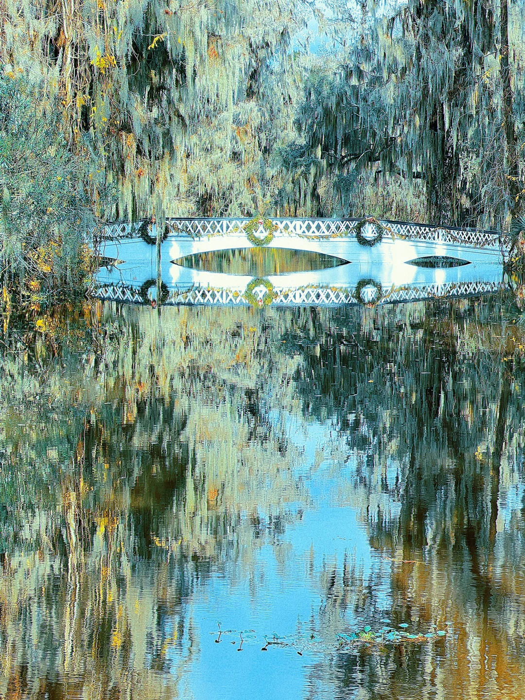 Charleston Travel Blog｜Southern Charm Gives Your Soul a Massage