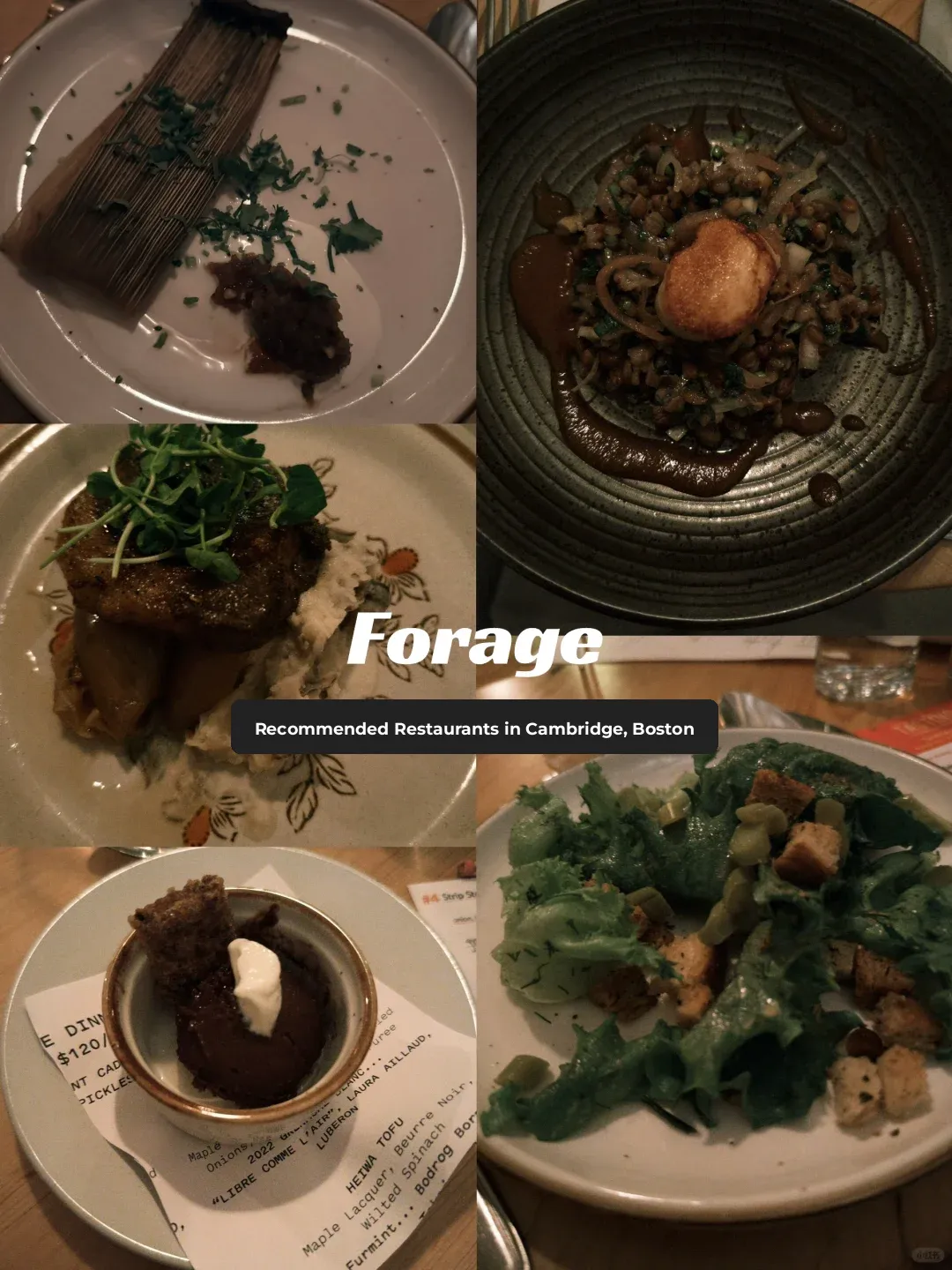 Forage｜Hidden Gem Restaurants in Cambridge, Boston